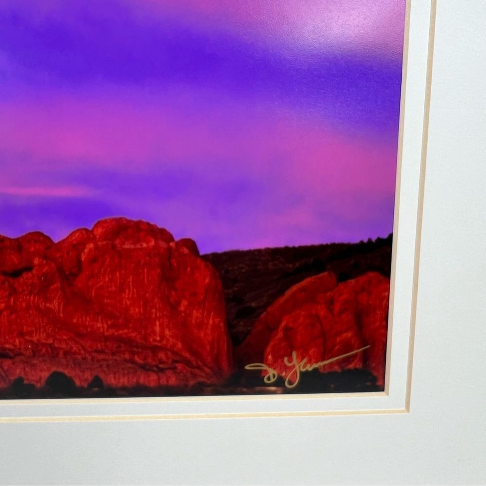 Debbie Yarra Nature’s Light Photography Print Hawk Spirit Soars in the Garden