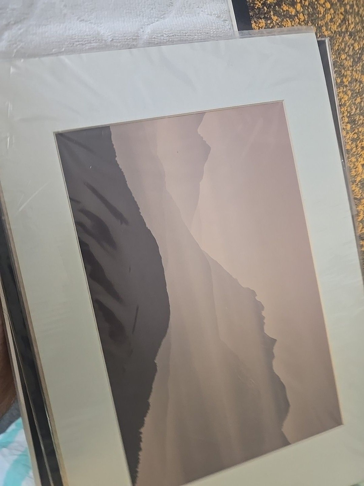 Lot Of 11 Western Landscape Photos 11×16, 12×16, 11×16 Mountains Wildlife