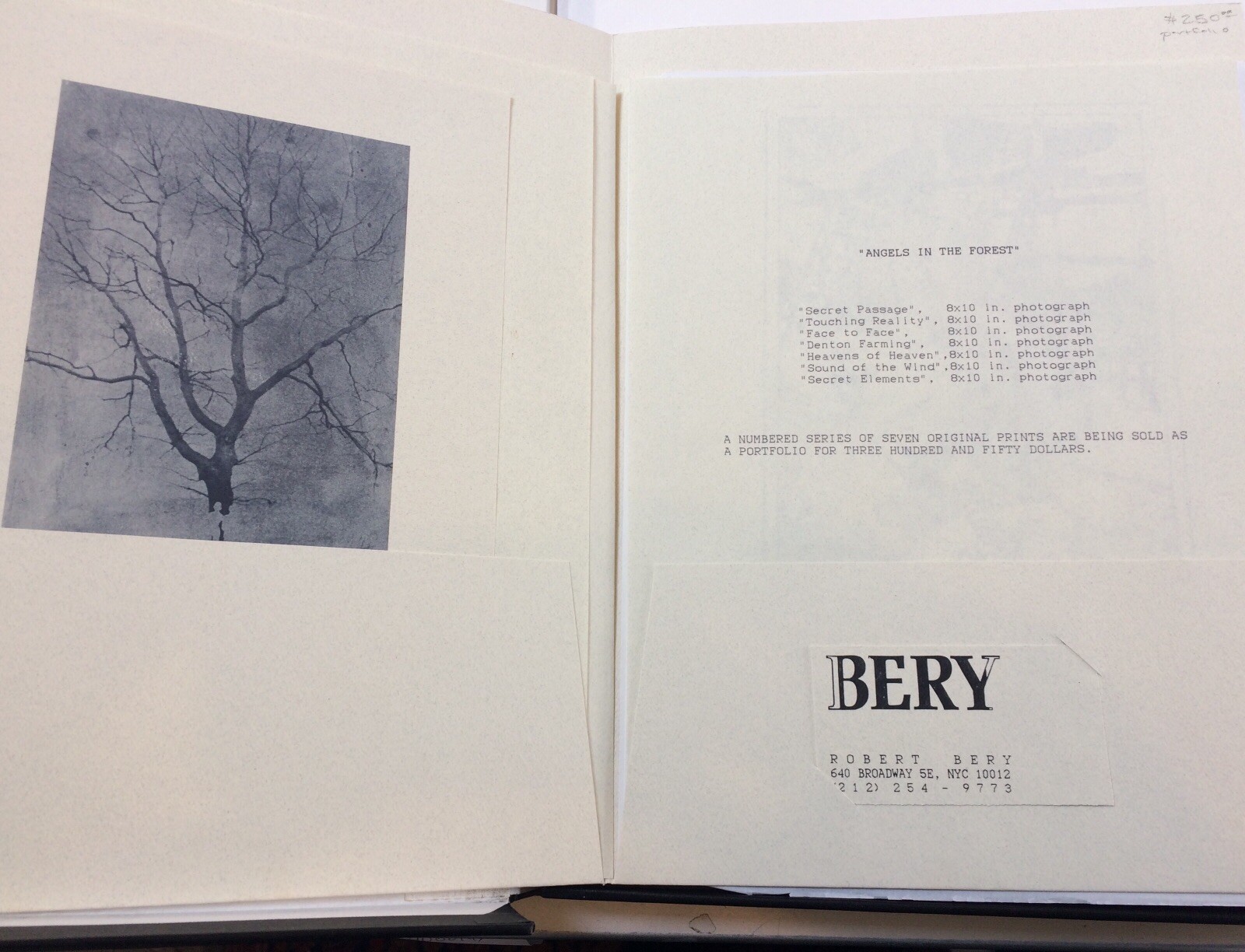 Robert Bery Angels in the Forest – Portfolio of 7 original photographic prints