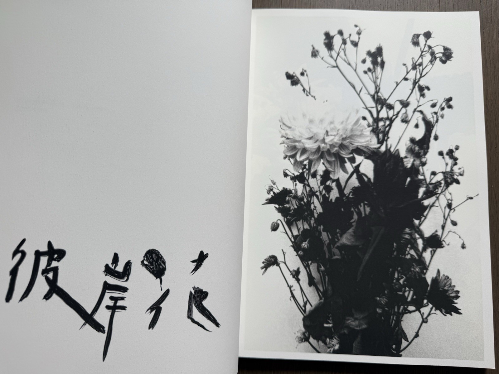 🎈SIGNED w Drawing! Nobuyoshi Araki – HANA-JINSEI, 2002 Japan Limited Ed, Unique