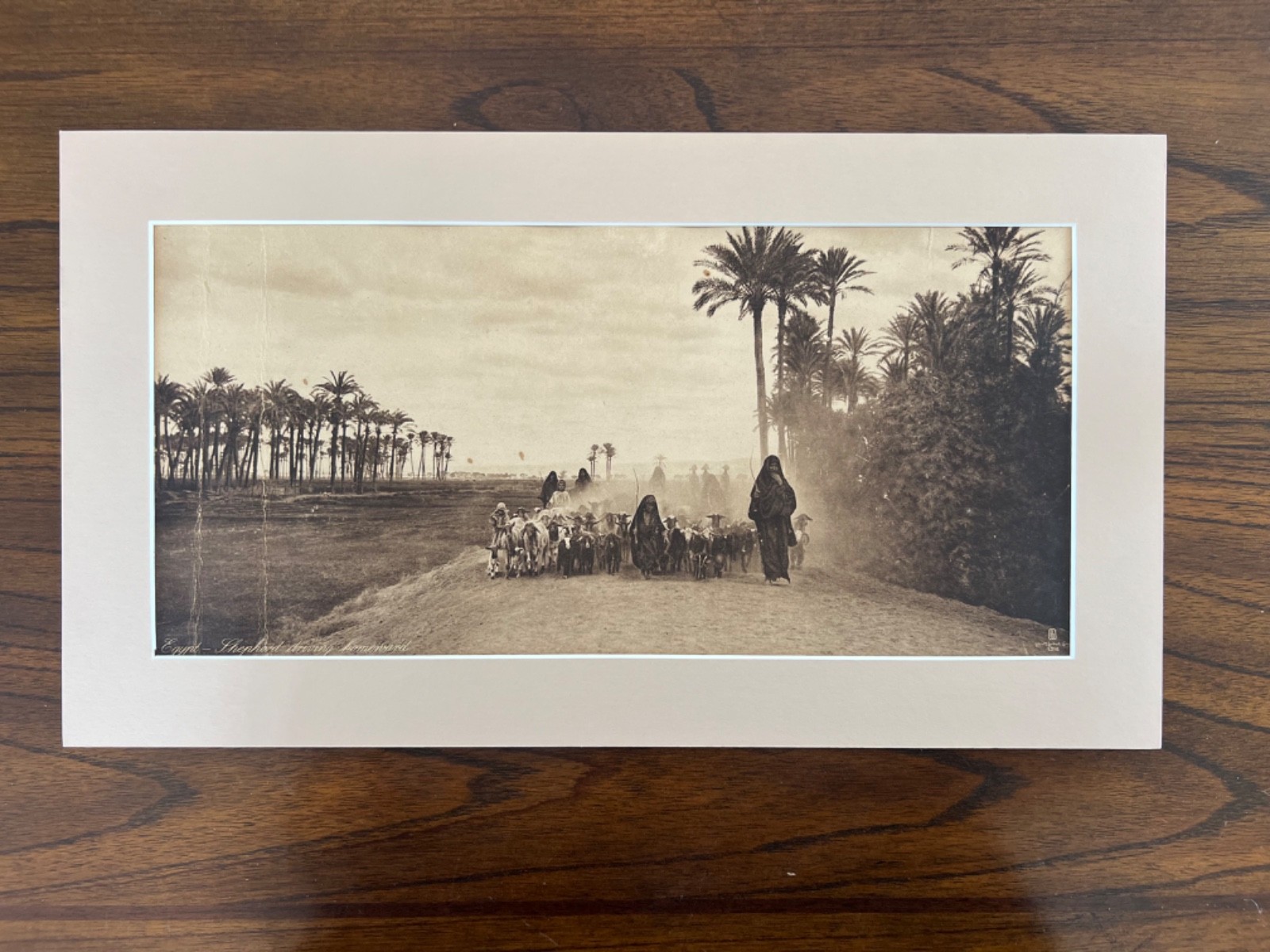 Lehnert and Landrock Antique Photo “Egypt, Shepard Driving Homeward” w/ Matt