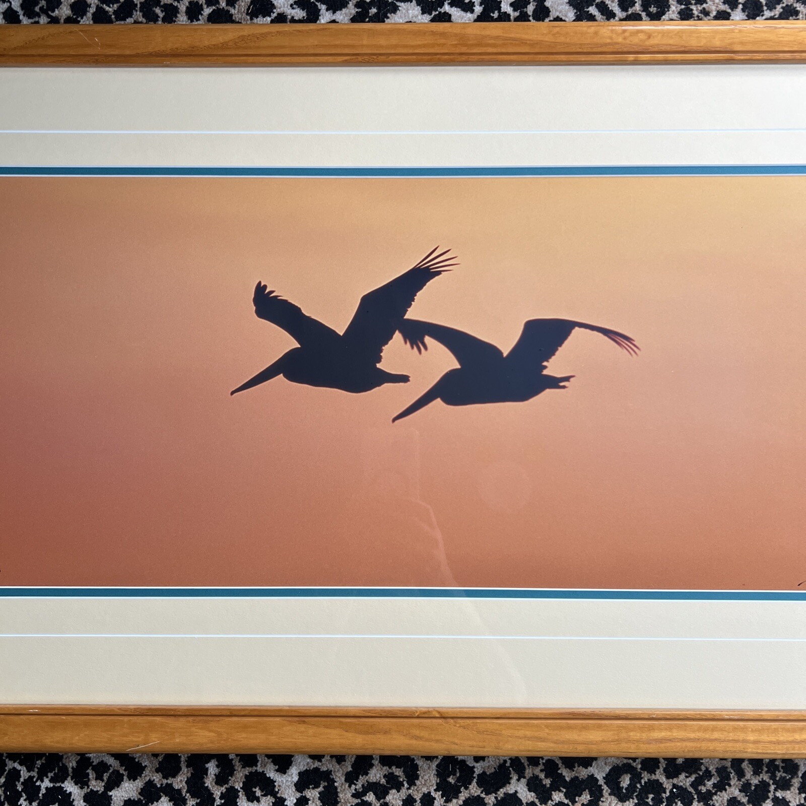 Thomas Mangelsen Signed Art Photo Ltd Pelicans Birds Wings At Dusk Numbered MCM