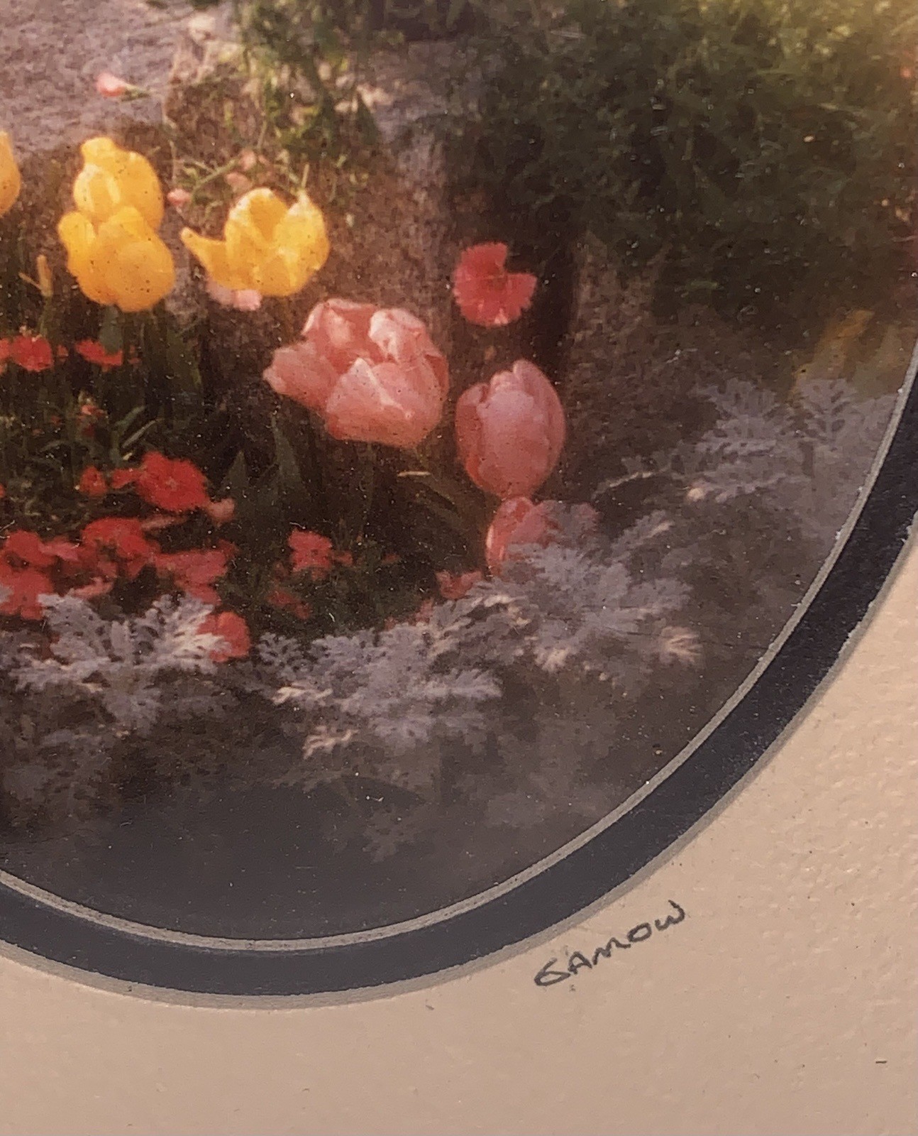 Pair Gamow Signed Floral Photography Art 5″ x 7″ Matted