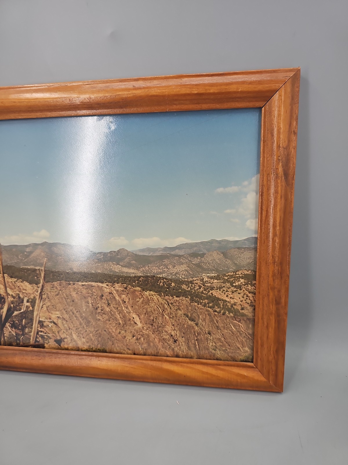 Vintage Photography Of Desert Perhaps New Mexico or Similar Framed With Glass