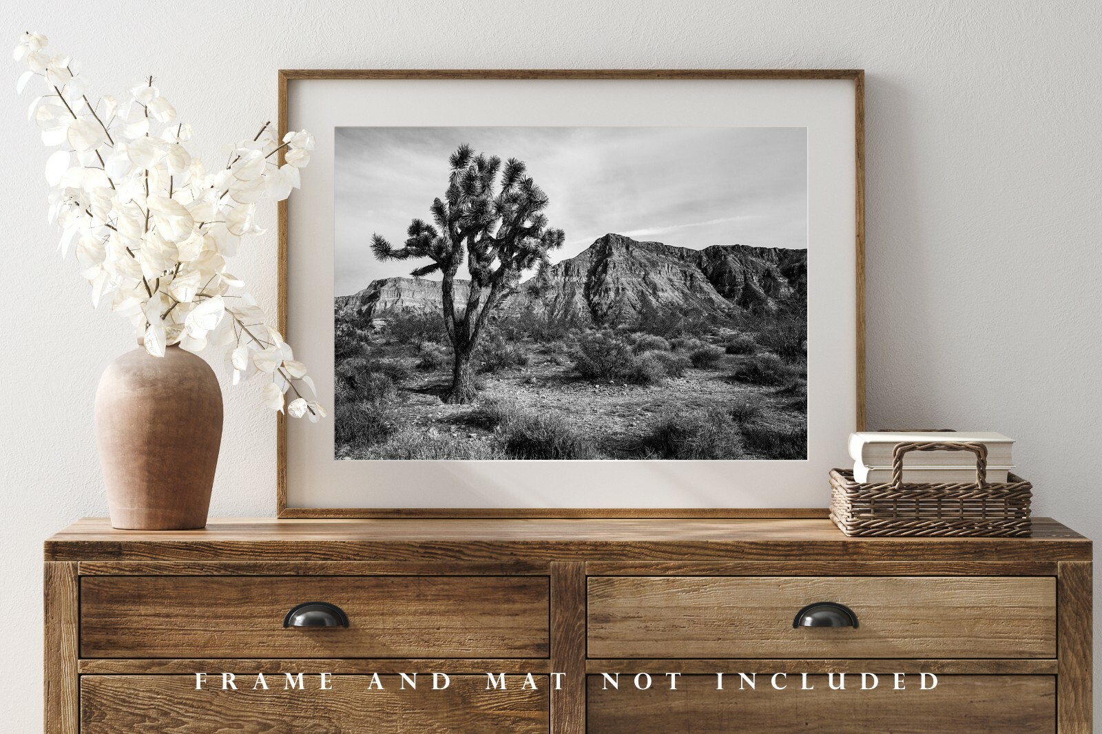 Desert Photography Print – Black and White Picture of Joshua Tree in Arizona