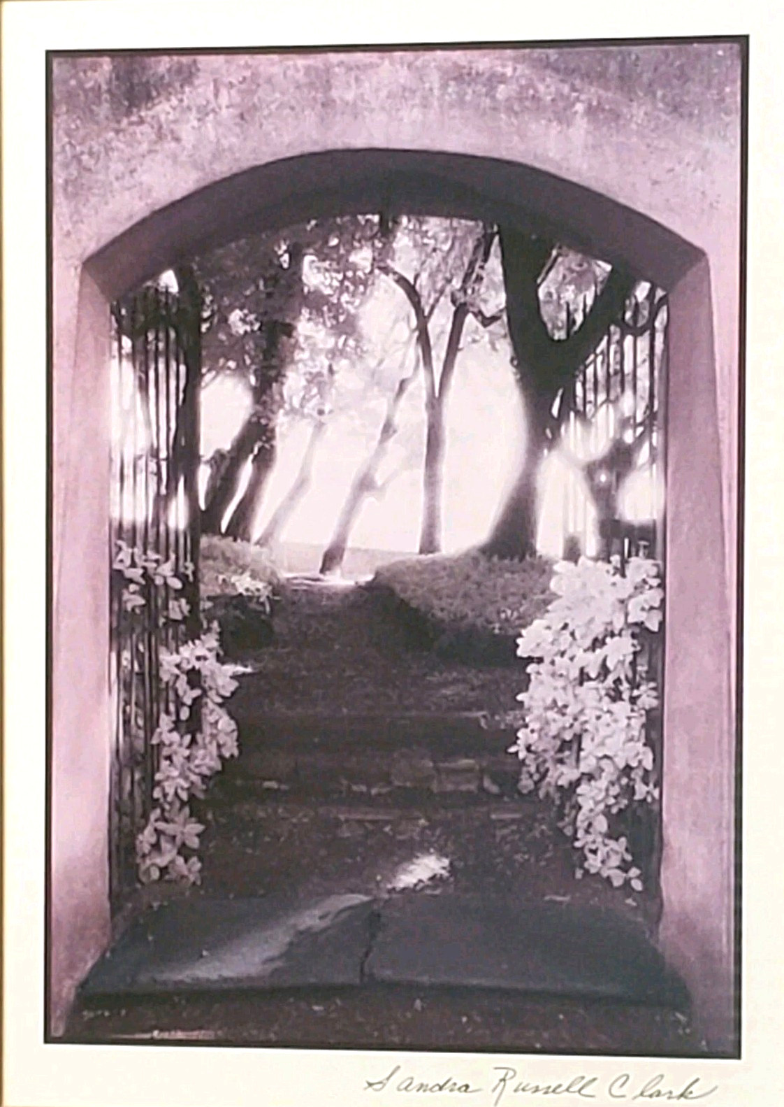 SANDRA RUSSELL CLARK (?) FRAMED/MATTED MONOCHROMATIC (PURPLE-TONES) GARDEN PHOTO