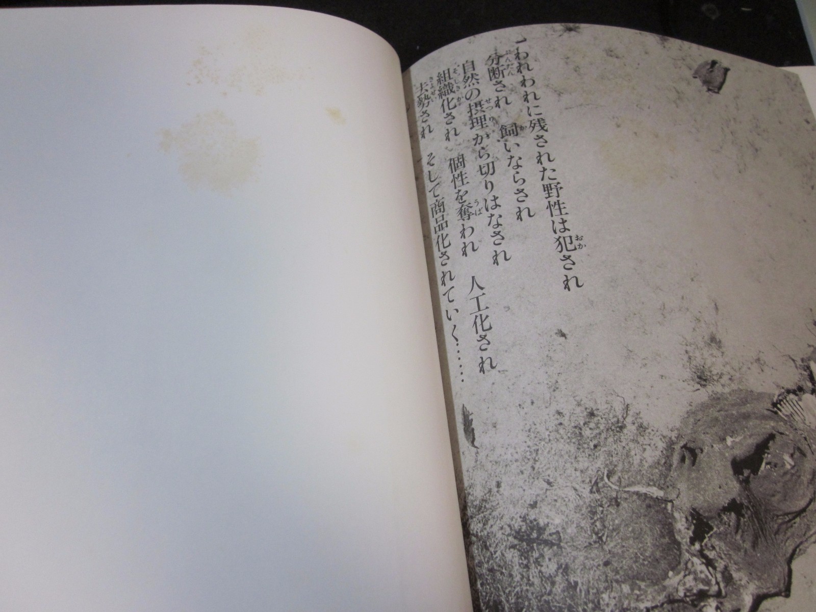 Peter Beard Photo book THE LAST WORD FROM THE PARADISE 1979 1st. edition Japan