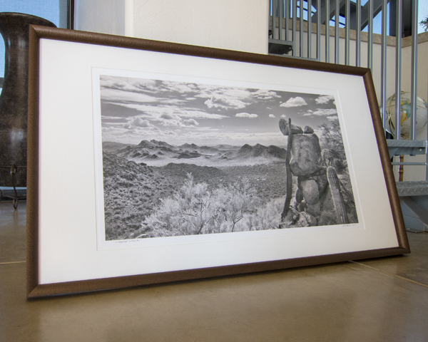 Photography Art Print of Arizona Desert Landscape in Black and White with Frame