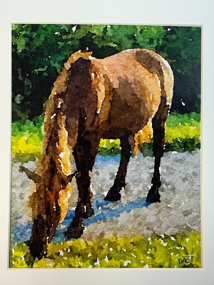 Wild Mustang Digital Watercolor Original Photograph 8 X 10 Mat 11 X 14 – Signed