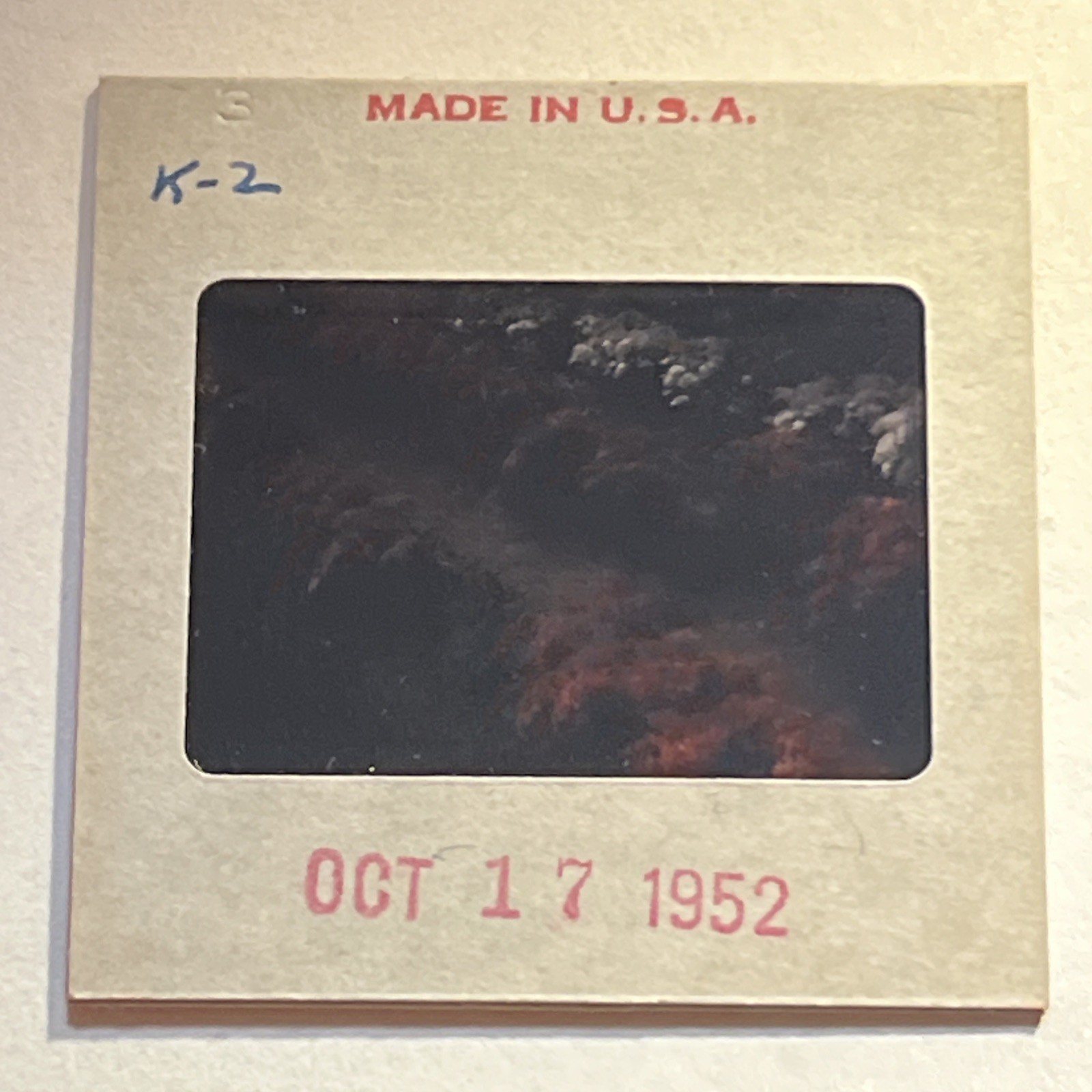 “PRETTY OCTOBER FLOWER GARDEN” 1952 Nature Photography FLORAL FLOWERS COLOR