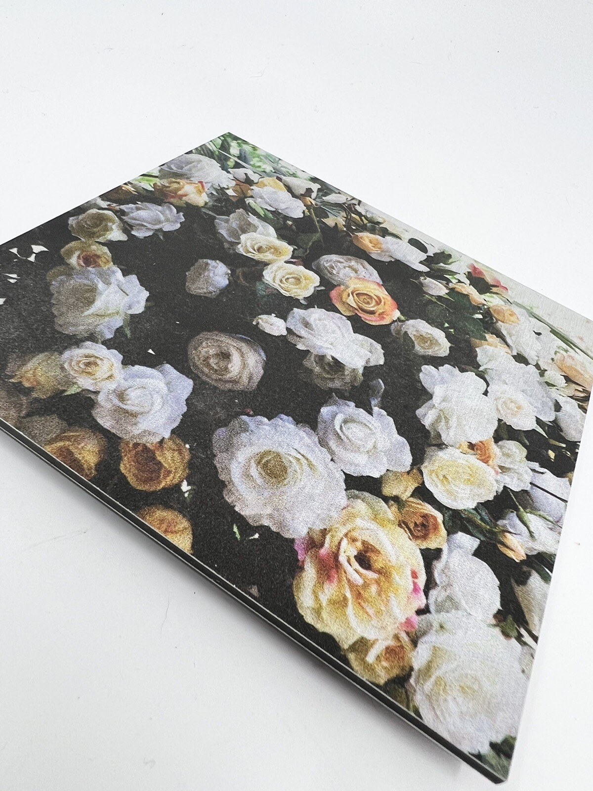Nancy Reid Carr Art & Photography Metal Photo Print Garden Roses Signed Floating