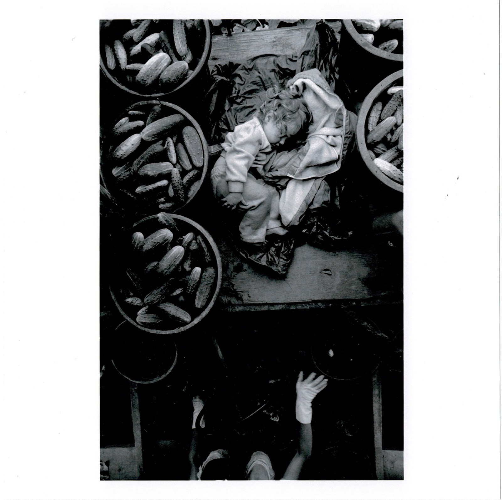 Larry Towell Signed Mennonite Child Limited Edition Magnum Photograph Print