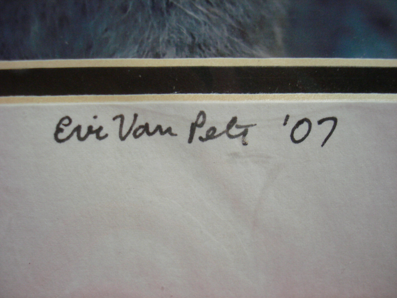 8″x10″ Matted Lynx Portrait Art by Eric Van Pelt 2007