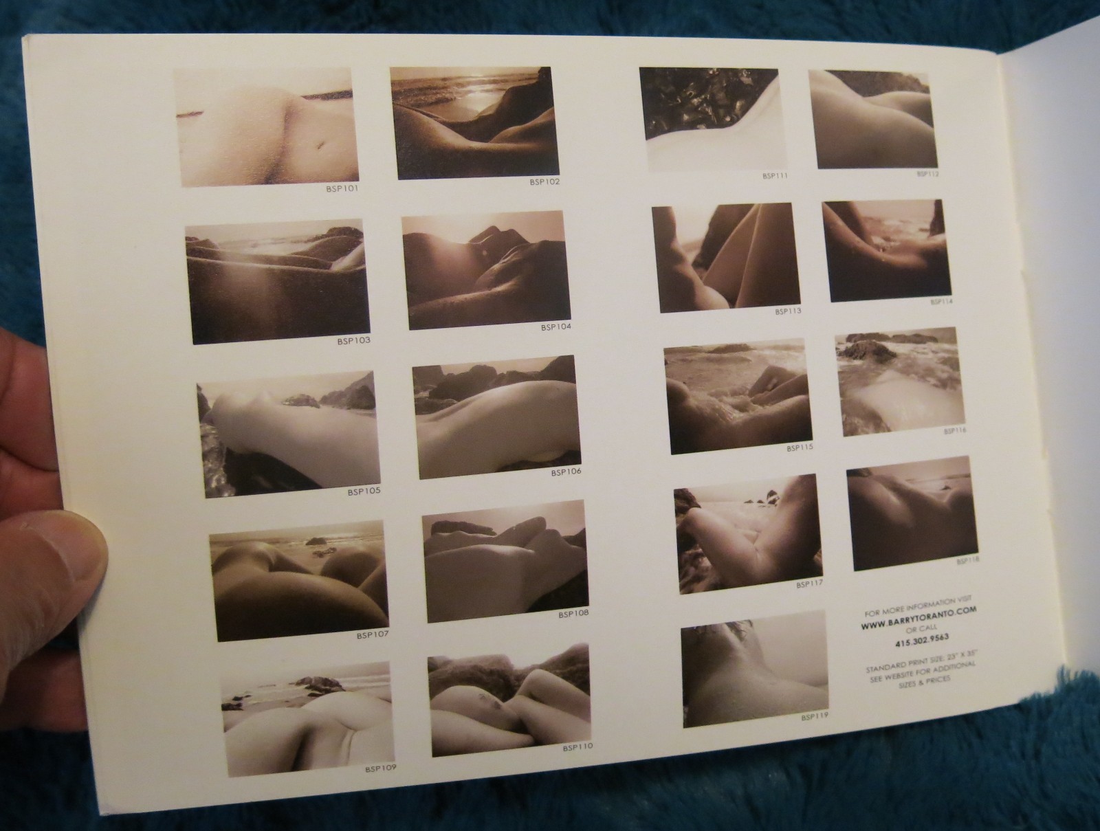 Bodyscapes – (Artistic Female Nudes) Photos by Barry Toranto 2007