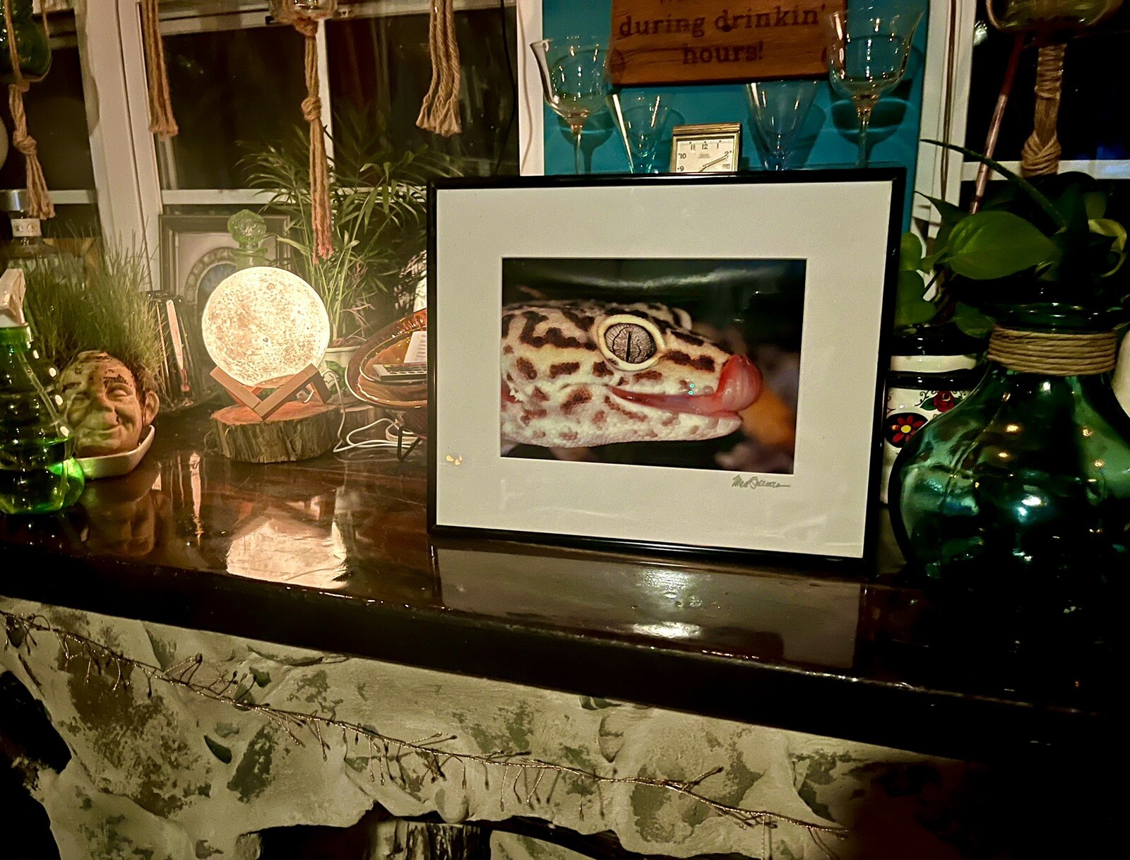 The Leopard Gecko -Close-Up Reptile Photography- Artist Signed