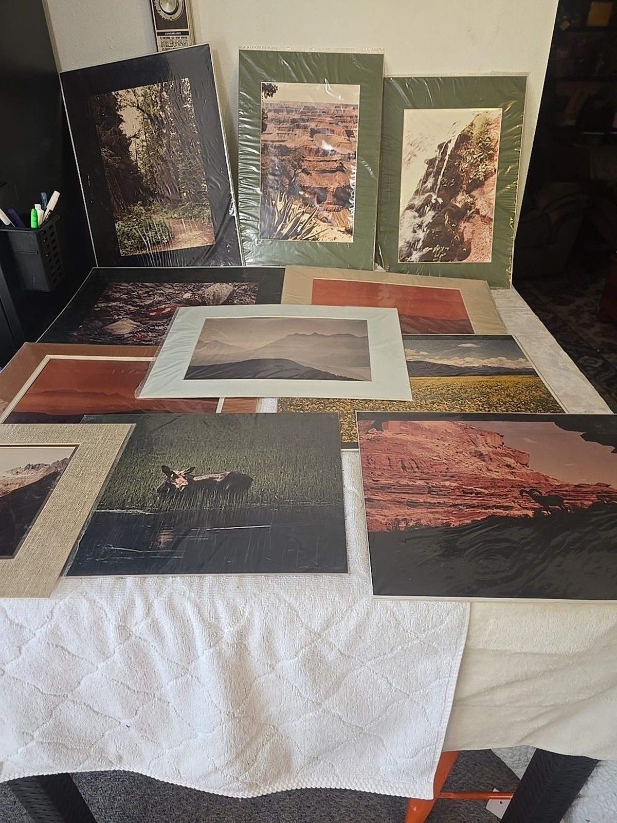Lot Of 11 Western Landscape Photos 11×16, 12×16, 11×16 Mountains Wildlife