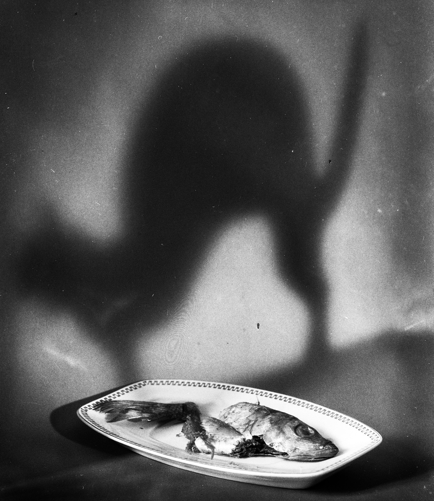 still life w fish and cat’s shadow, funny, unusual, ASH Wednesday, Eduard PEZDIK