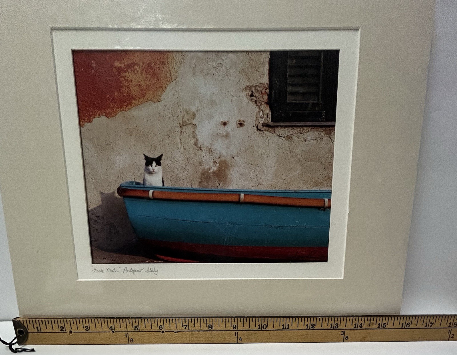 John And Debora Scanlan AP Italy Cat Photograph Print With COA Signed Numbered