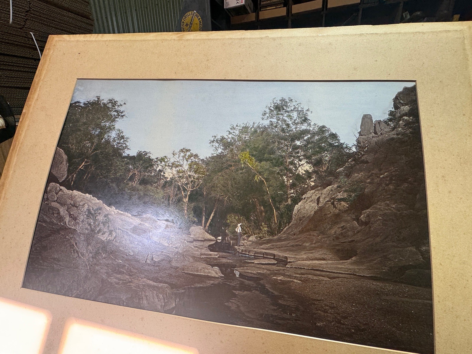 c.1900 Hand-Tinted Albumen Photograph Indigenous Landscape in Burr-Walnut Frame