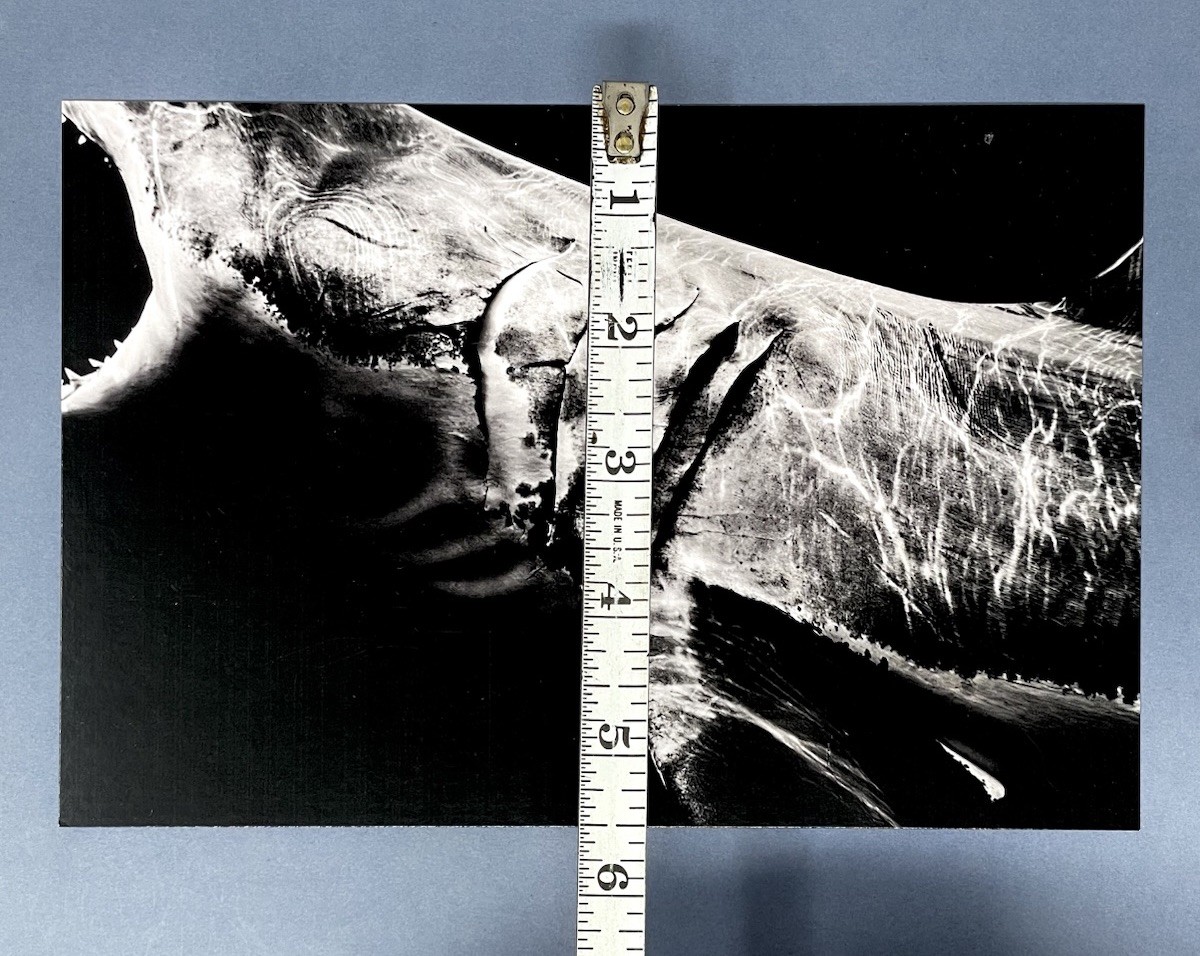 Matt Draper Art Show Announcement Card 2025 – Within One Breath – Leica Gallery