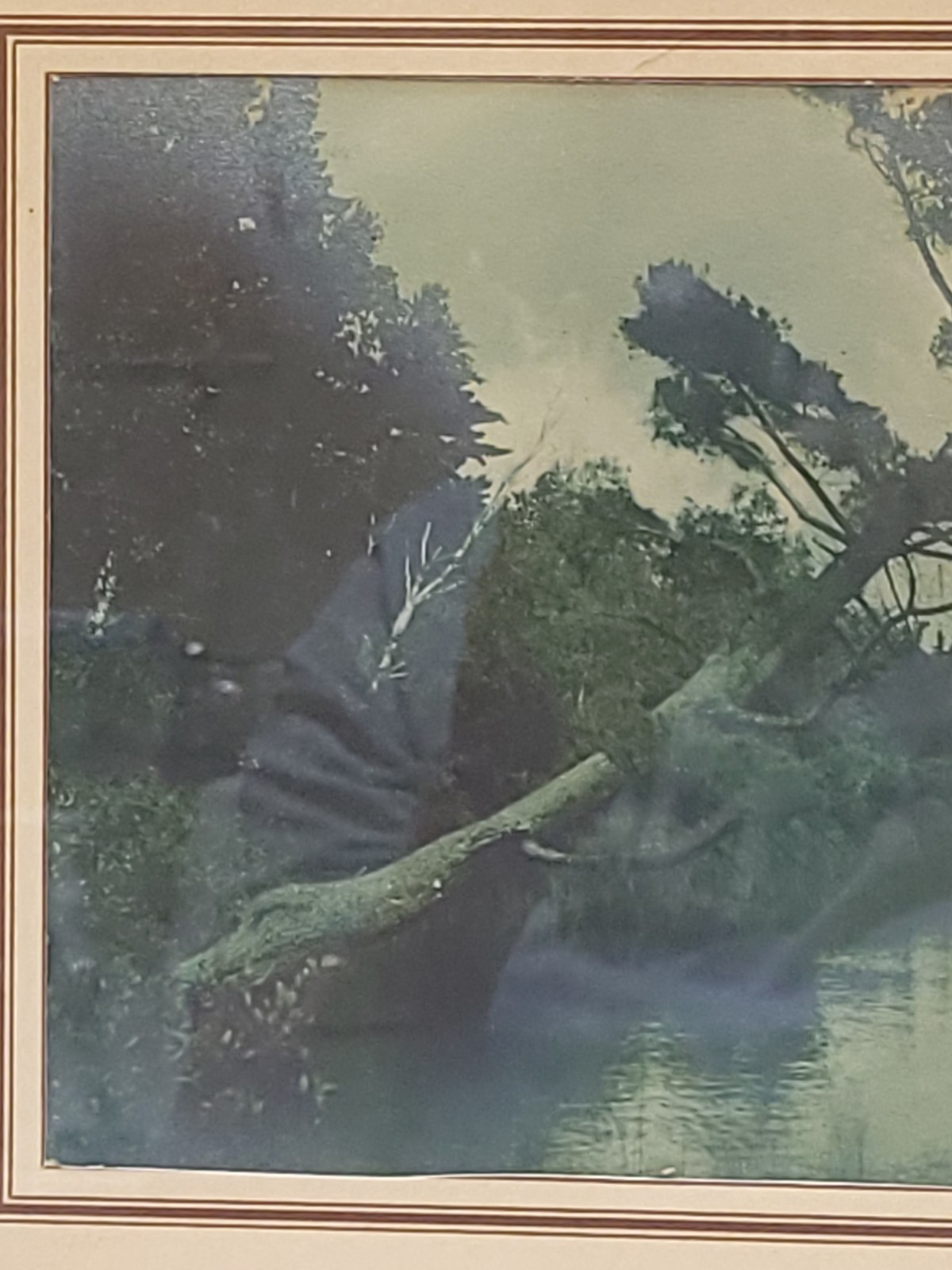Vintage Scenic Photograph Framed Art Lost Lake Michigan, Trees Antique Art 1939