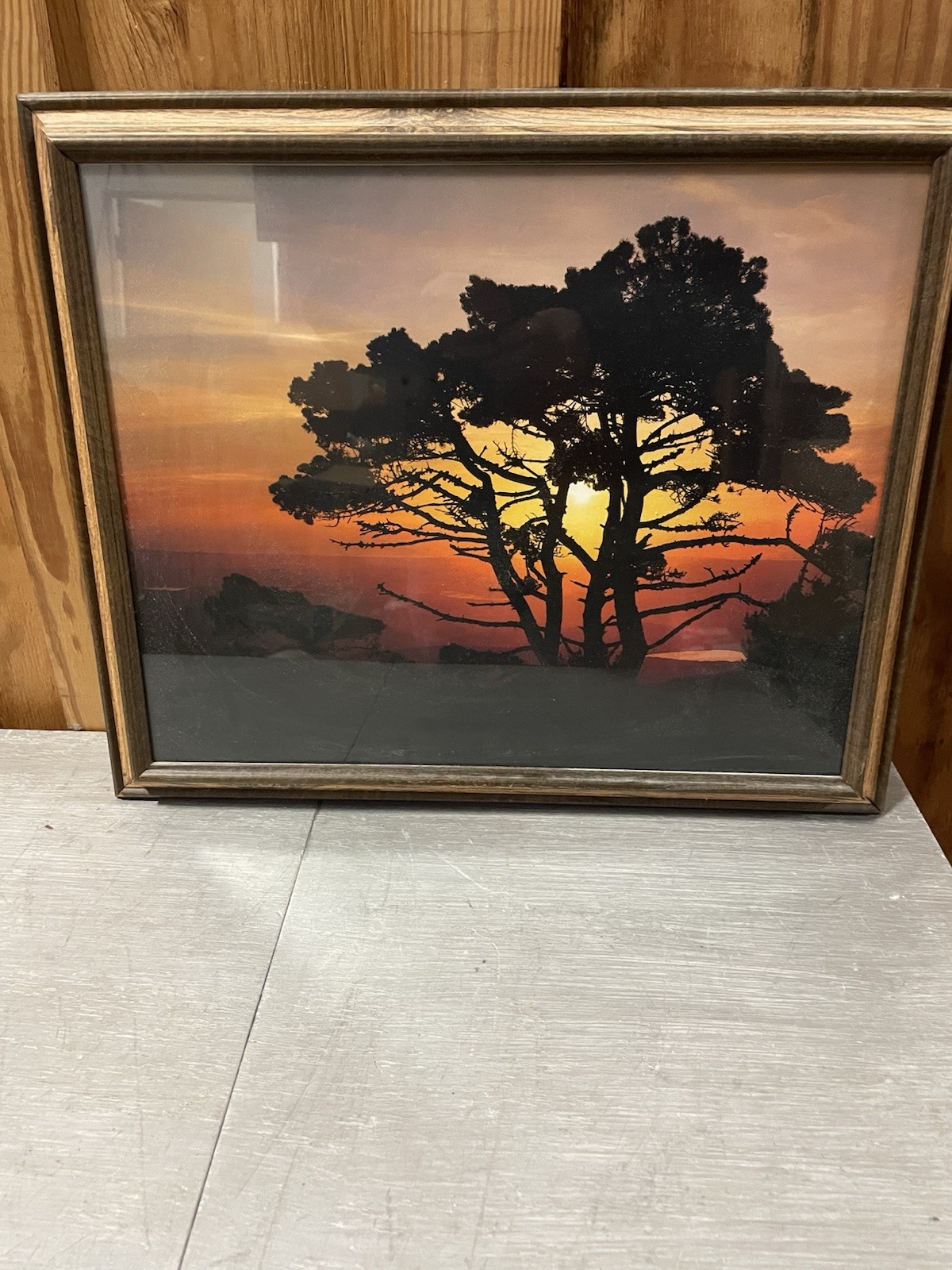 Nature Photography Print -Vintage Picture of Tree in Sunset 19” H x 22” L