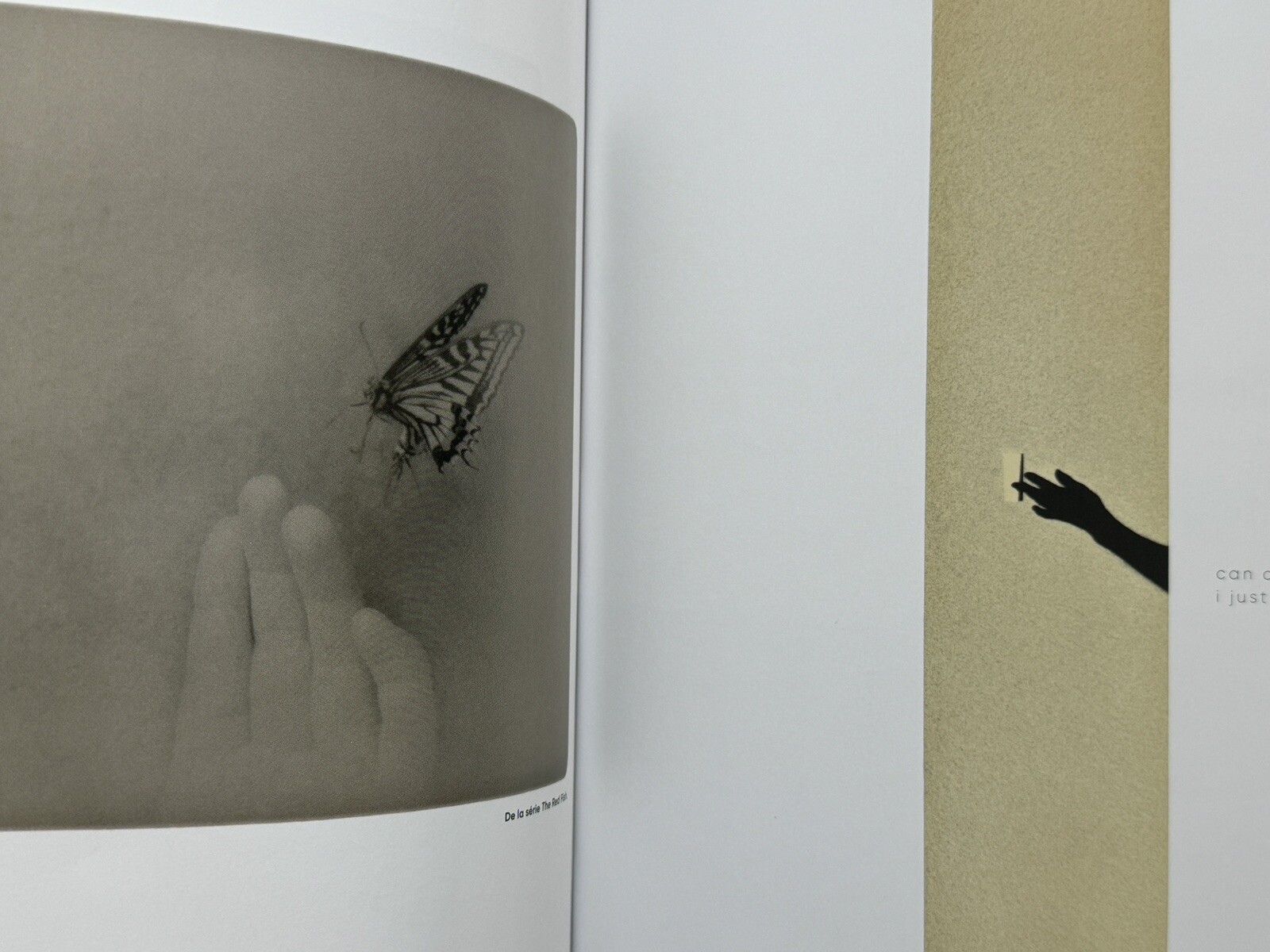 SupRARE! Polka – Daido MORIYAMA, Magazines 2020, 2021, Miho Kajioka, Meyerowitz