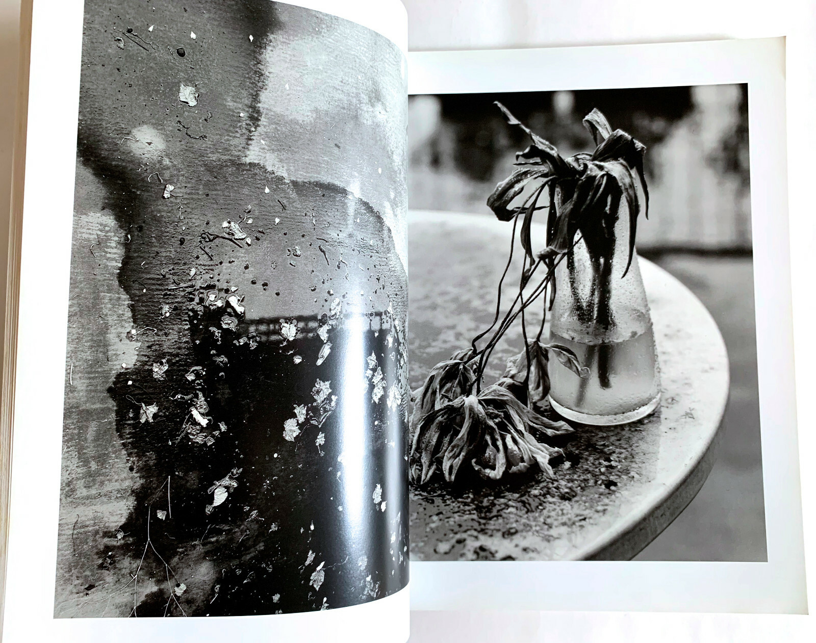 NOBUYOSHI ARAKI SPECIAL ISSUE deja-vu JAPAN PHOTOGRAPHY MAGAZINE 1991 Photo D02