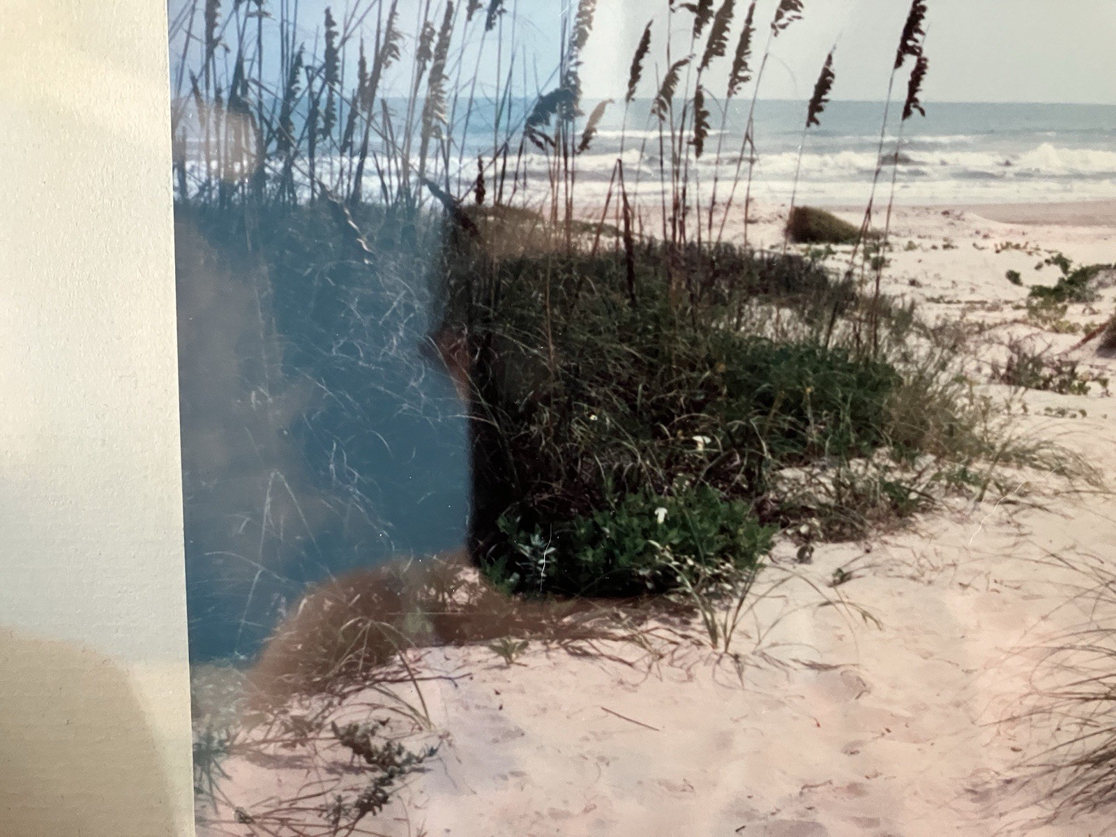 Path To The Beach Artist Edith Warrick Real Photography Laguna Vista Texas, Read
