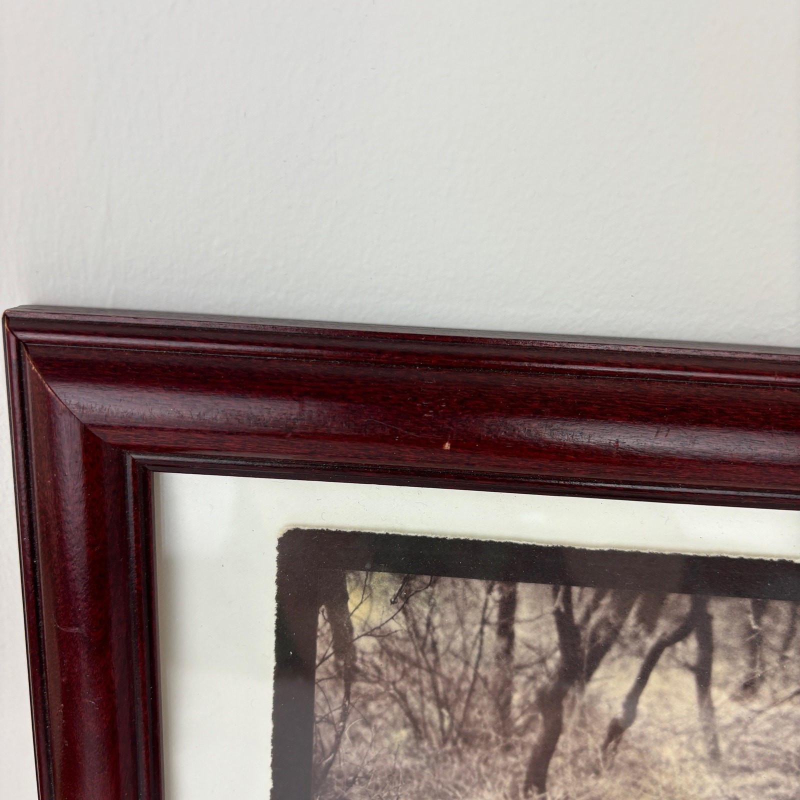 Framed Photo “Lion- Northern Frontier District Kenya” 12″ x 10.5″ Vintage