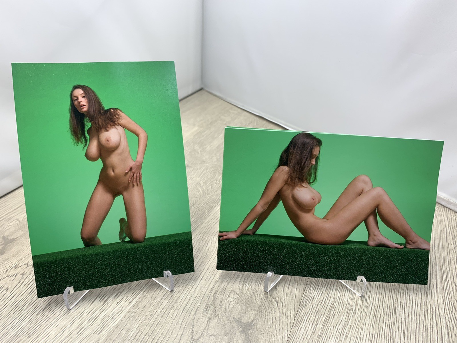 Twenty Eight 28 Artistic Nude 4×6 Photographs Fine Art Color Prints Female Study