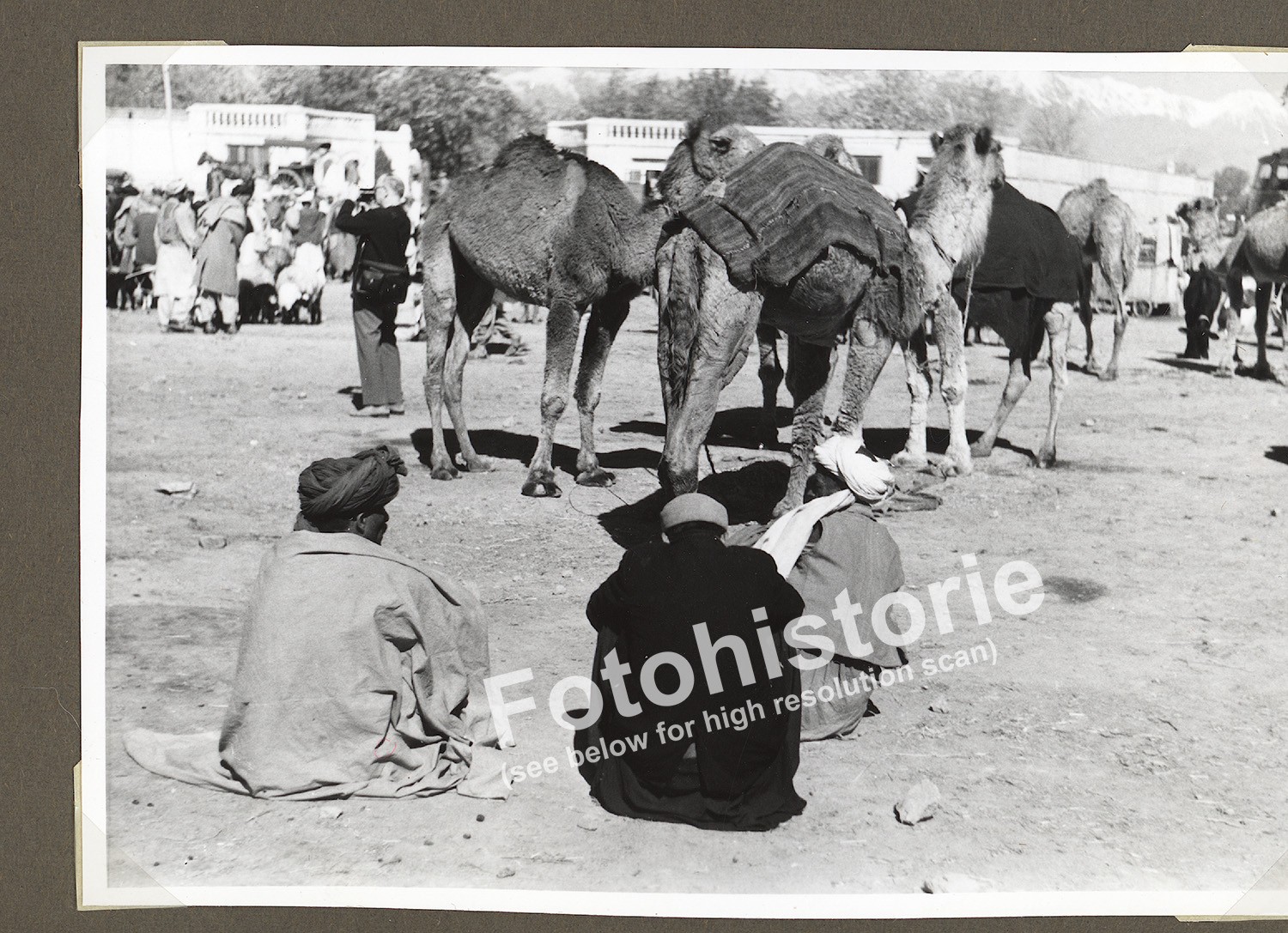 Photo Kabul Camels Market Traders Afghanistan Bazaar Scene 1960s