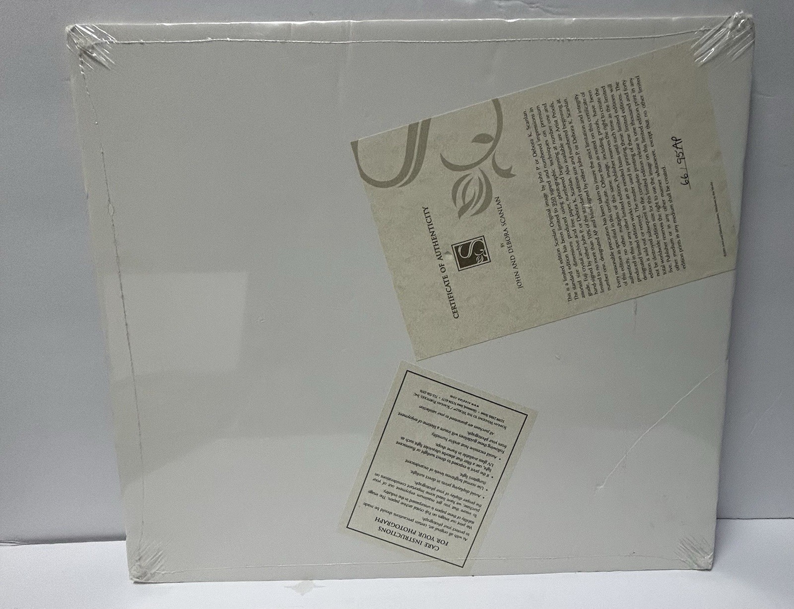 John And Debora Scanlan AP Italy Cat Photograph Print With COA Signed Numbered
