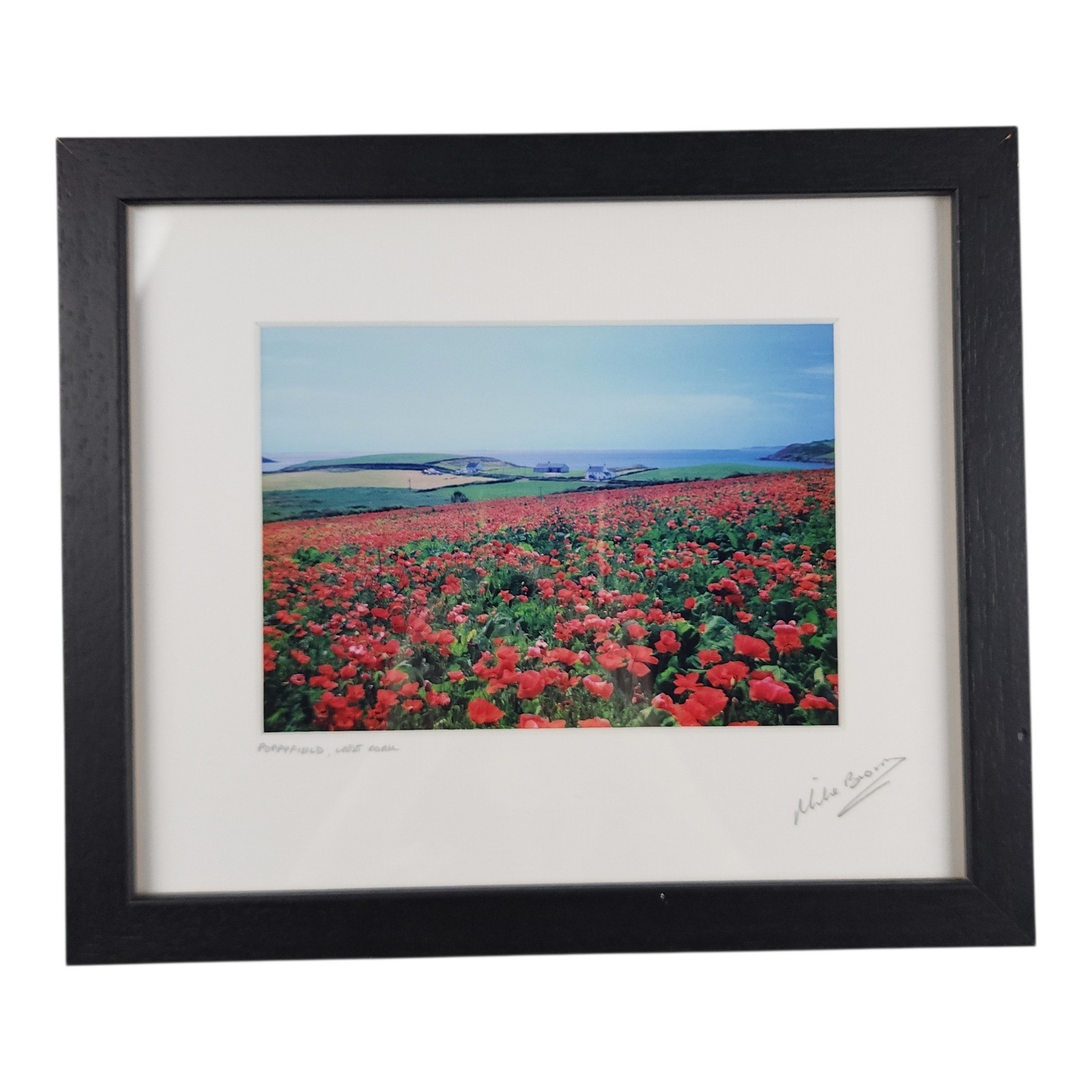 Mike Brown Photography Poppyfield West Cork Signed Framed Art Irish Landscape