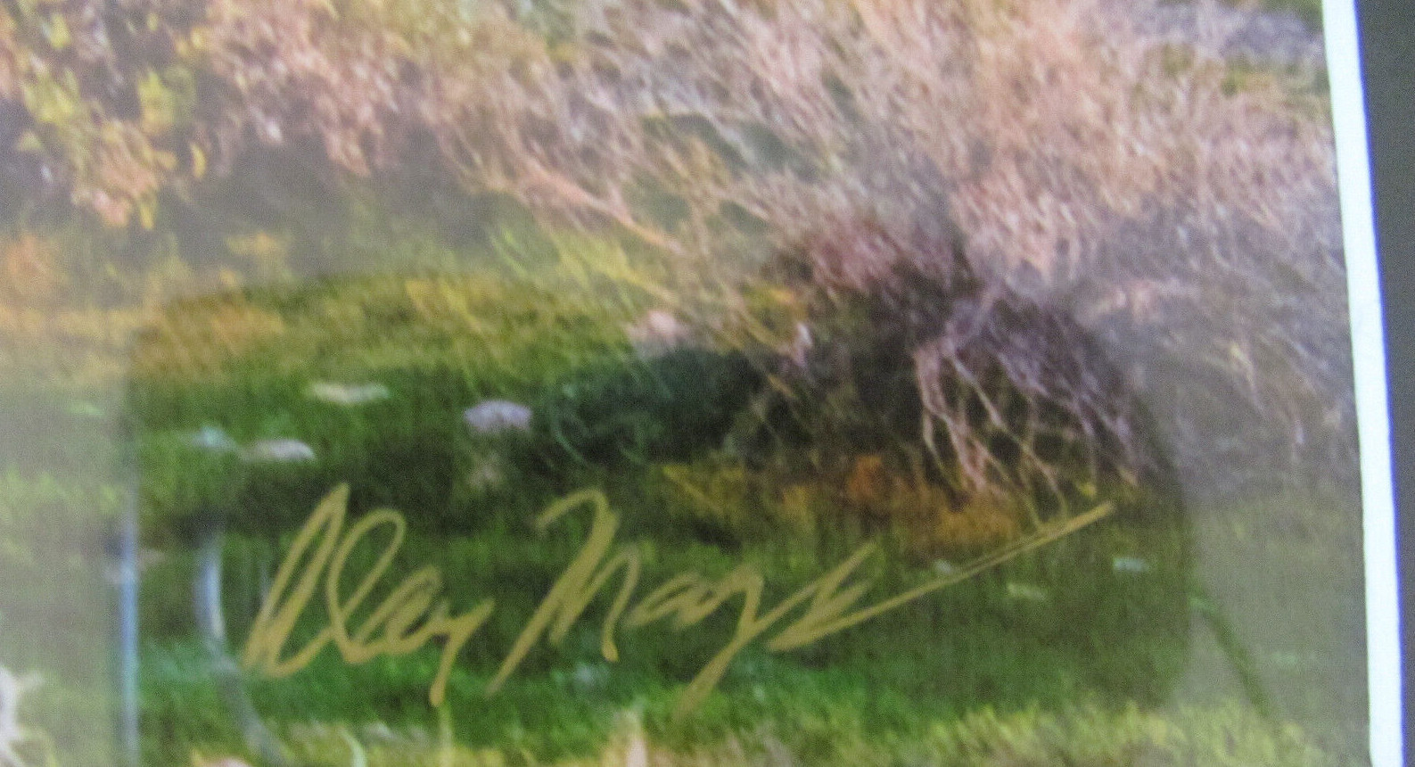 Superstition Mountains Arizona-Photograph- Framed & Matted- Signed Alan Mays?