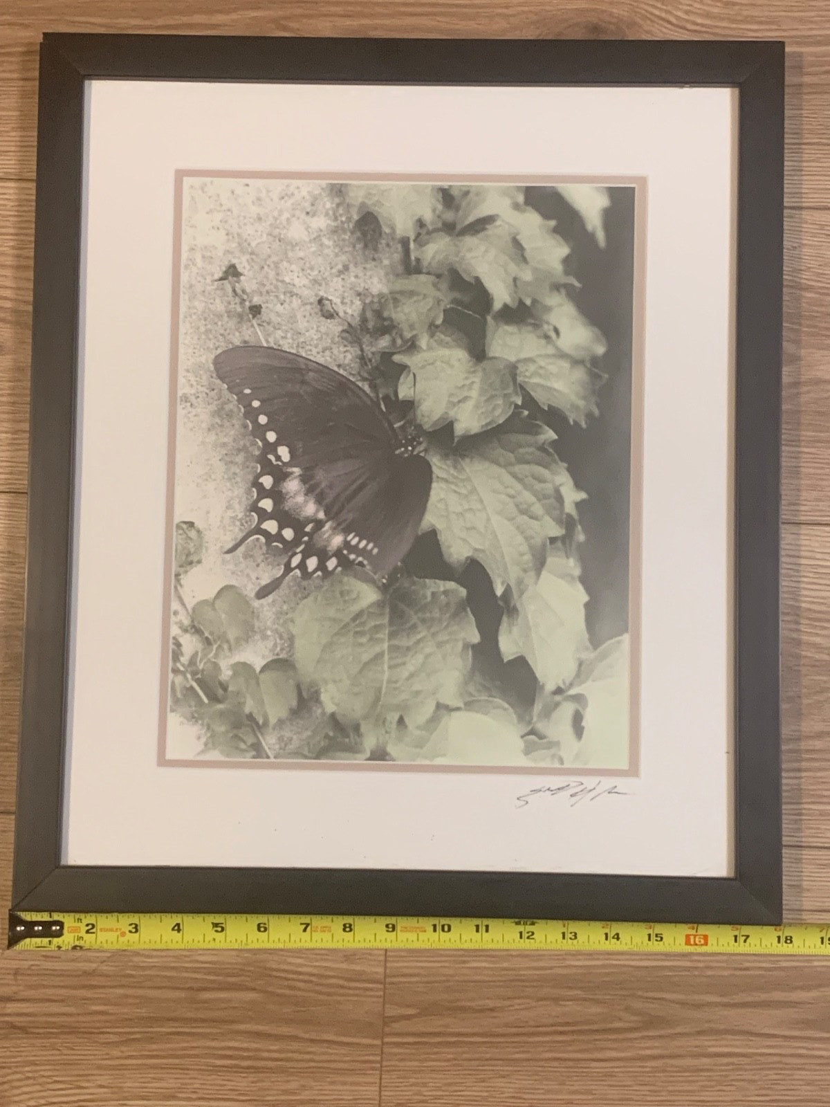 Signed Sepia Butterfly Nature Photograph – Close-Up Botanical Art Print
