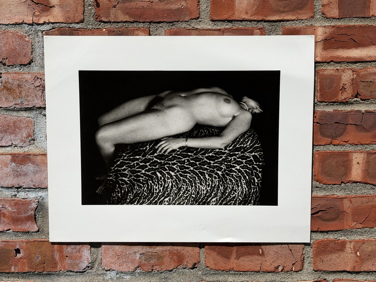 New Zealand Photographer Peter Peryer Gelatin Silver Photo Print Anne Noble 1979