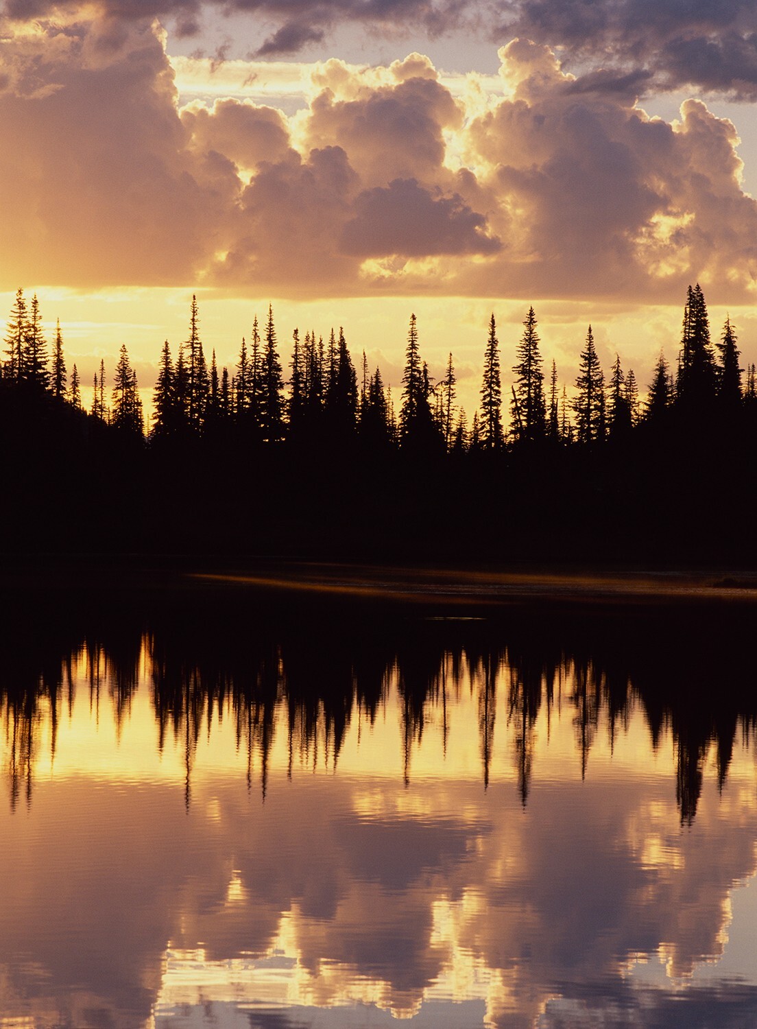Photographs printed as 18″x24″ gallery-wrap canvases, 1.5″ deep bars, $150