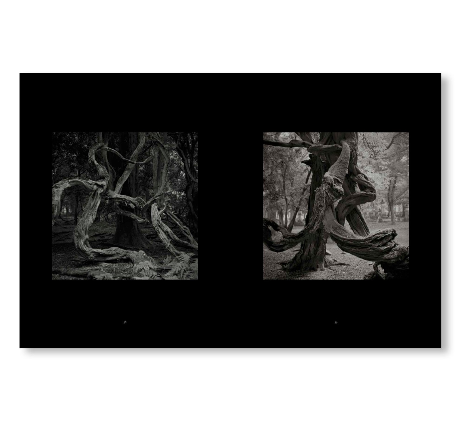 Kenro Izu Mono no Aware Signed Stamped Art Photography Book New Rare