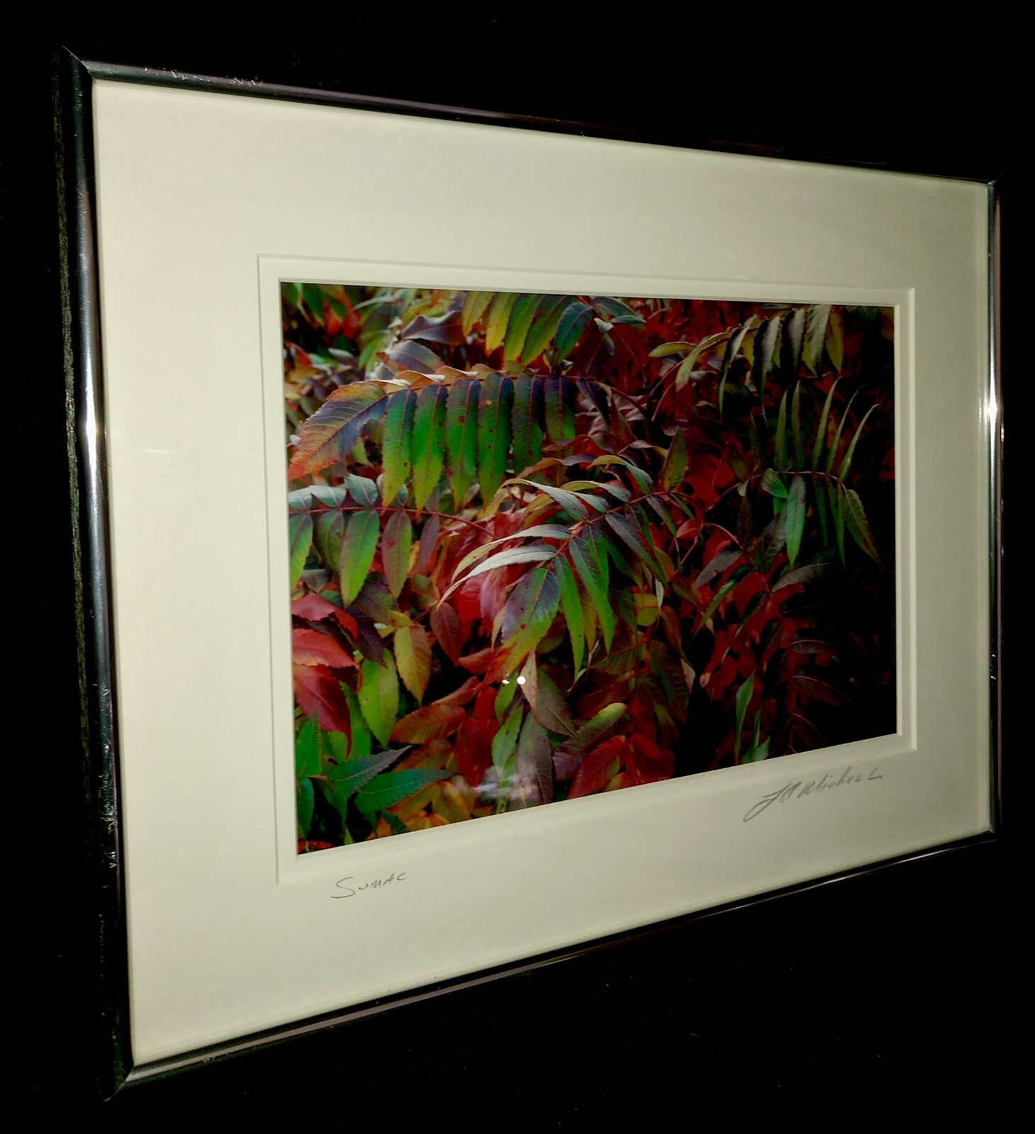 J A Micheal Signed Print Framed SUMAC Arborist Flowers Garden Home Decor 14×11