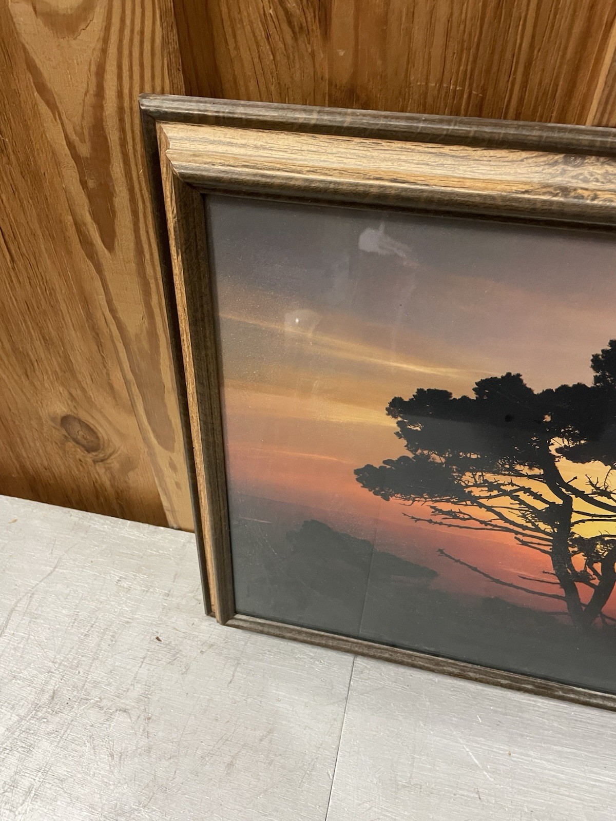 Nature Photography Print -Vintage Picture of Tree in Sunset 19” H x 22” L