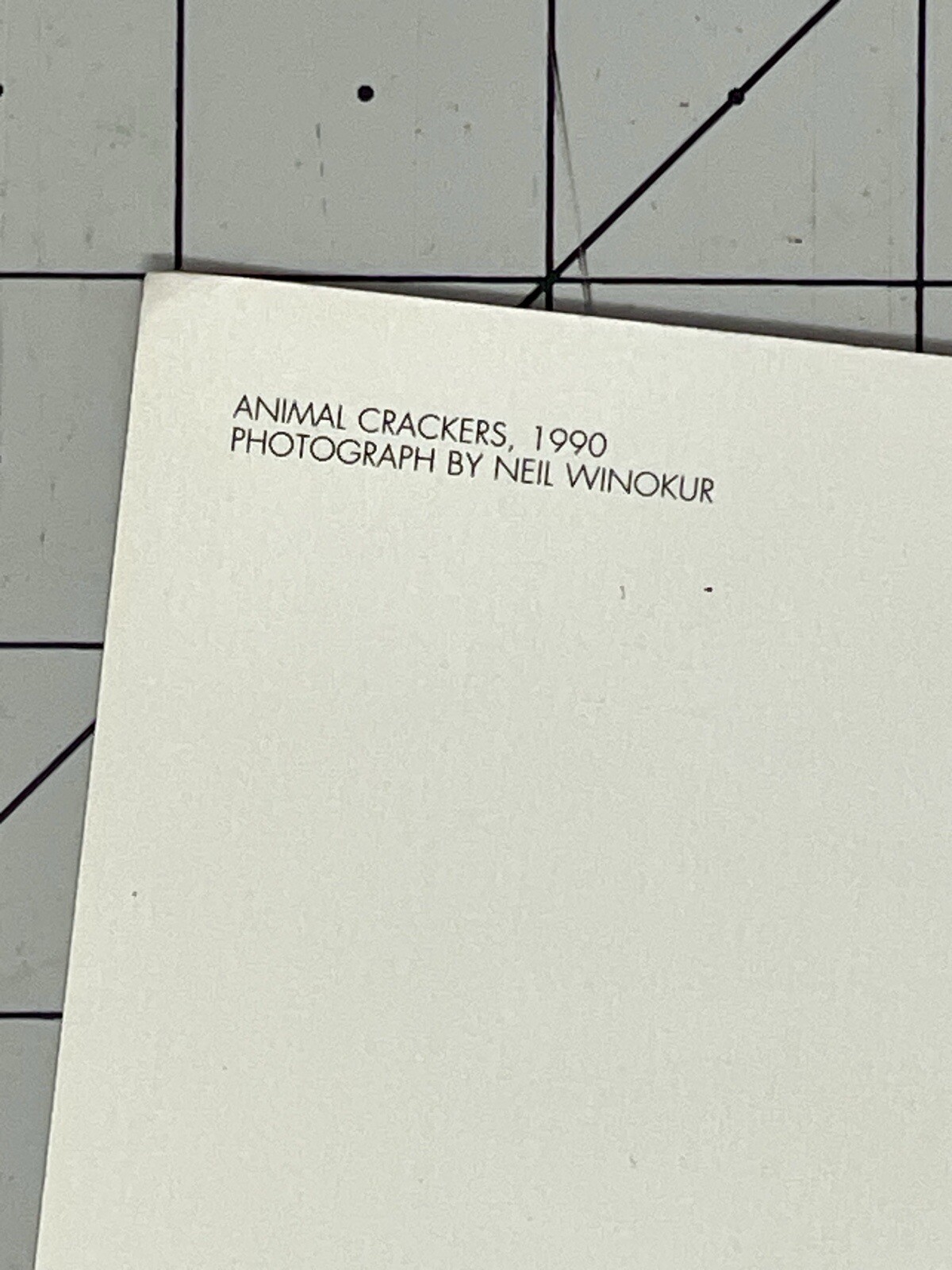 Neil Winokur Art Photo Card – Animal Crackers 1990 – Fotofolio
