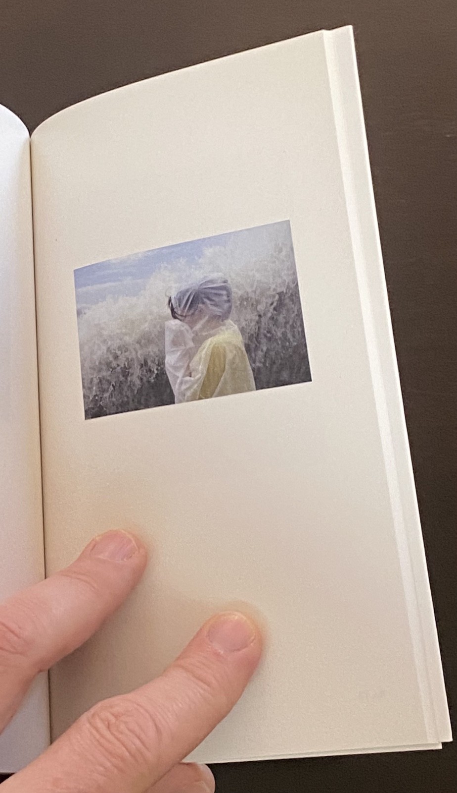 Alec Soth Hypnagogia photobook RARE