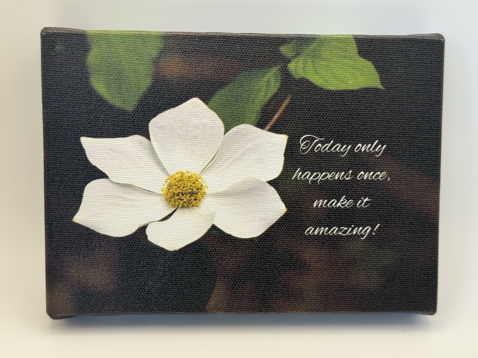 Beautiful Photo Of A Dogwood Blossom, Reminding Us To Be Present Photo On Canvas