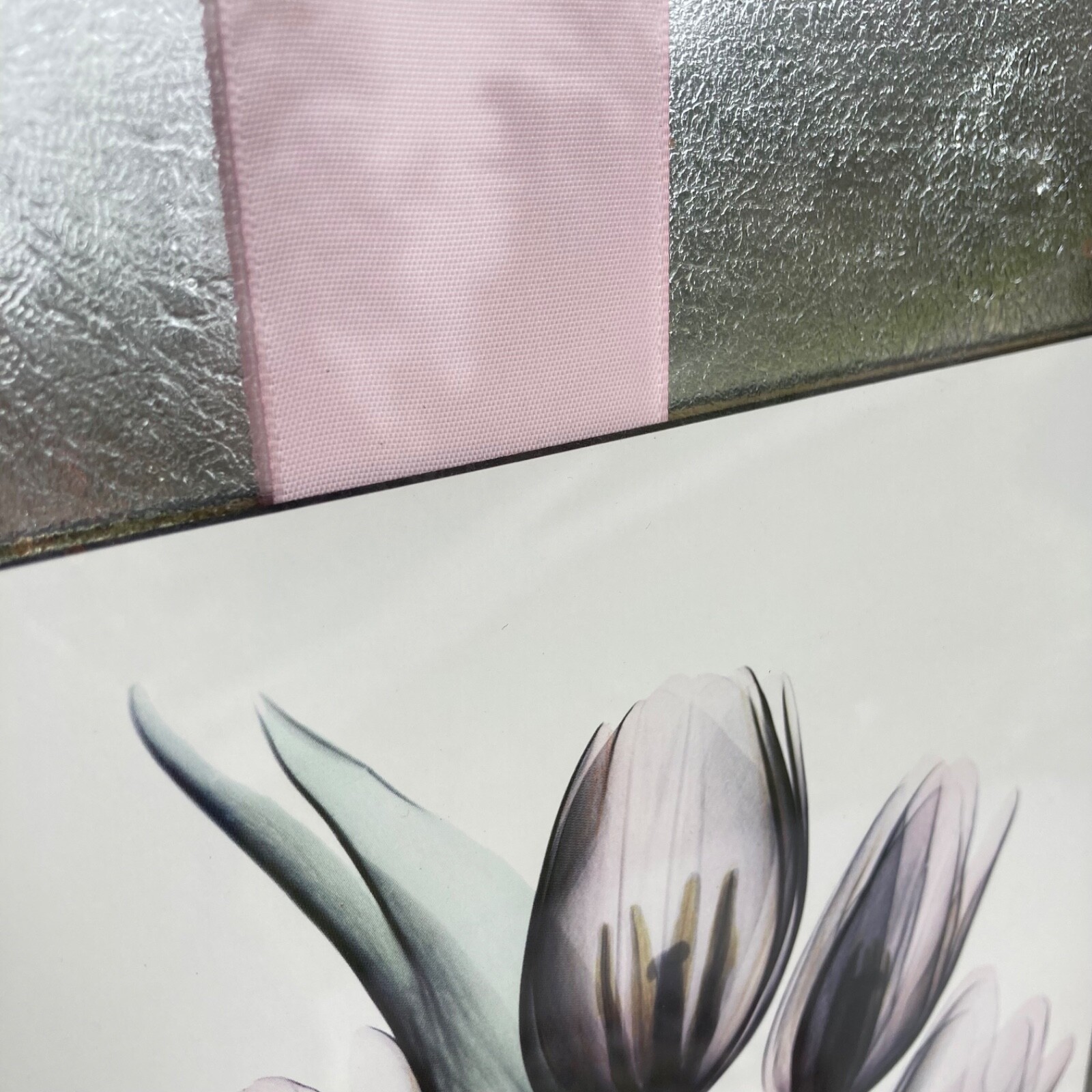 Tulips By Albert Koetsier Artist Signed Radiographic Xray Radio Photography Art