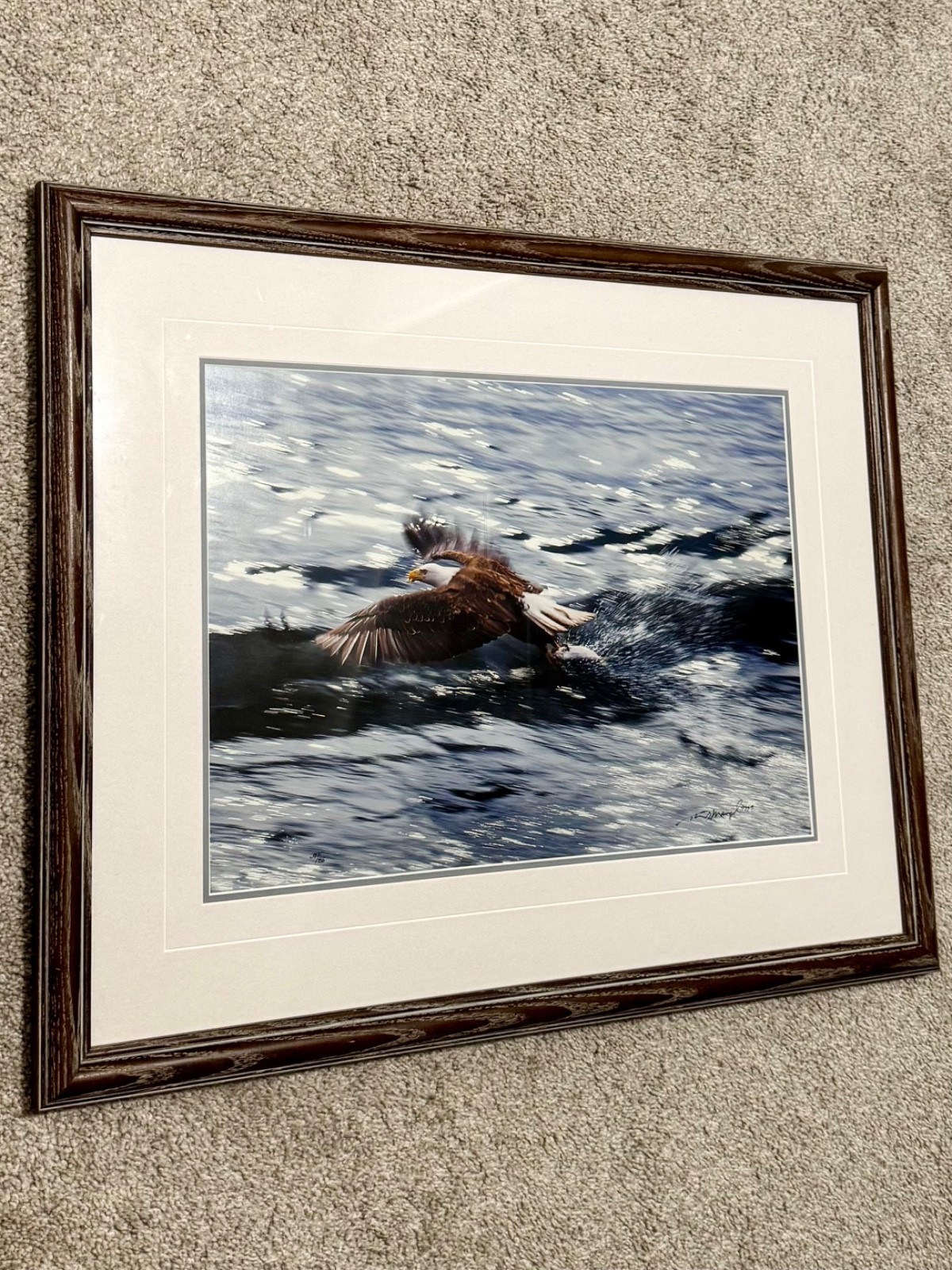 “The Catch- Bald Eagle” signed by tom mangelsen