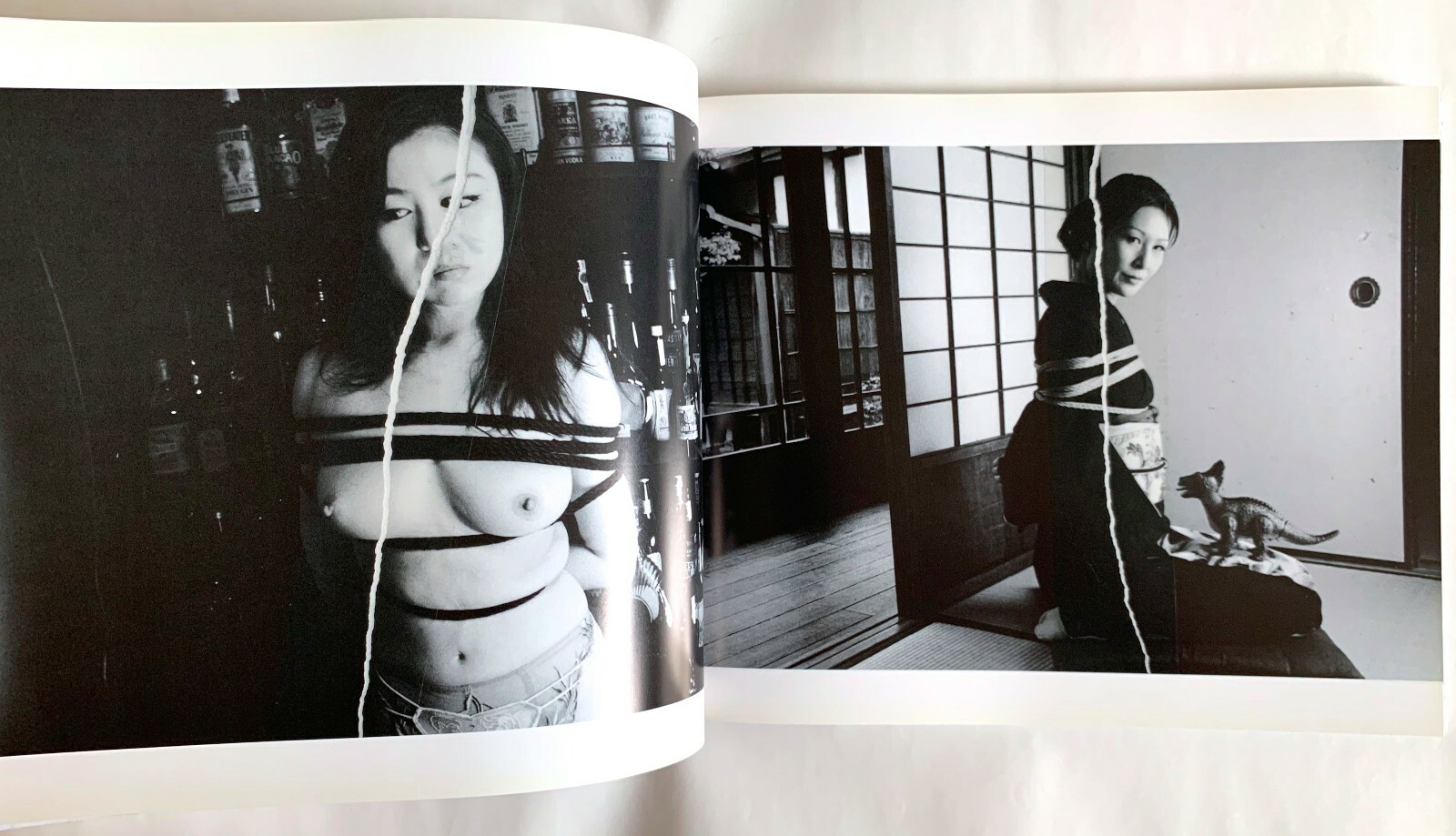 NOBUYOSHI ARAKI Shamanatsu 2011 JAPAN PHOTO BOOK LIMITED EDITION 700 copies E02