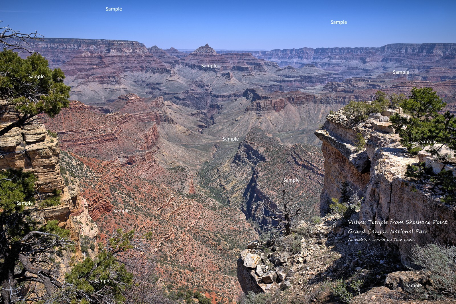 Grand Canyon National Park Shoshone Point Arizona Poster Photo Print GC08