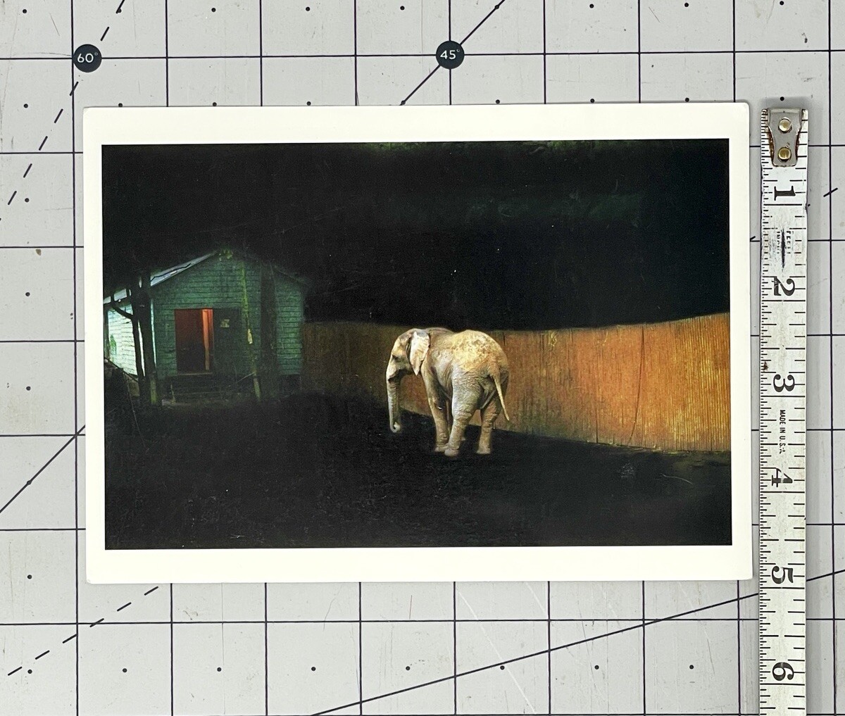 Allison Hunter (b. 1967) Art Show Announcement Card 2007