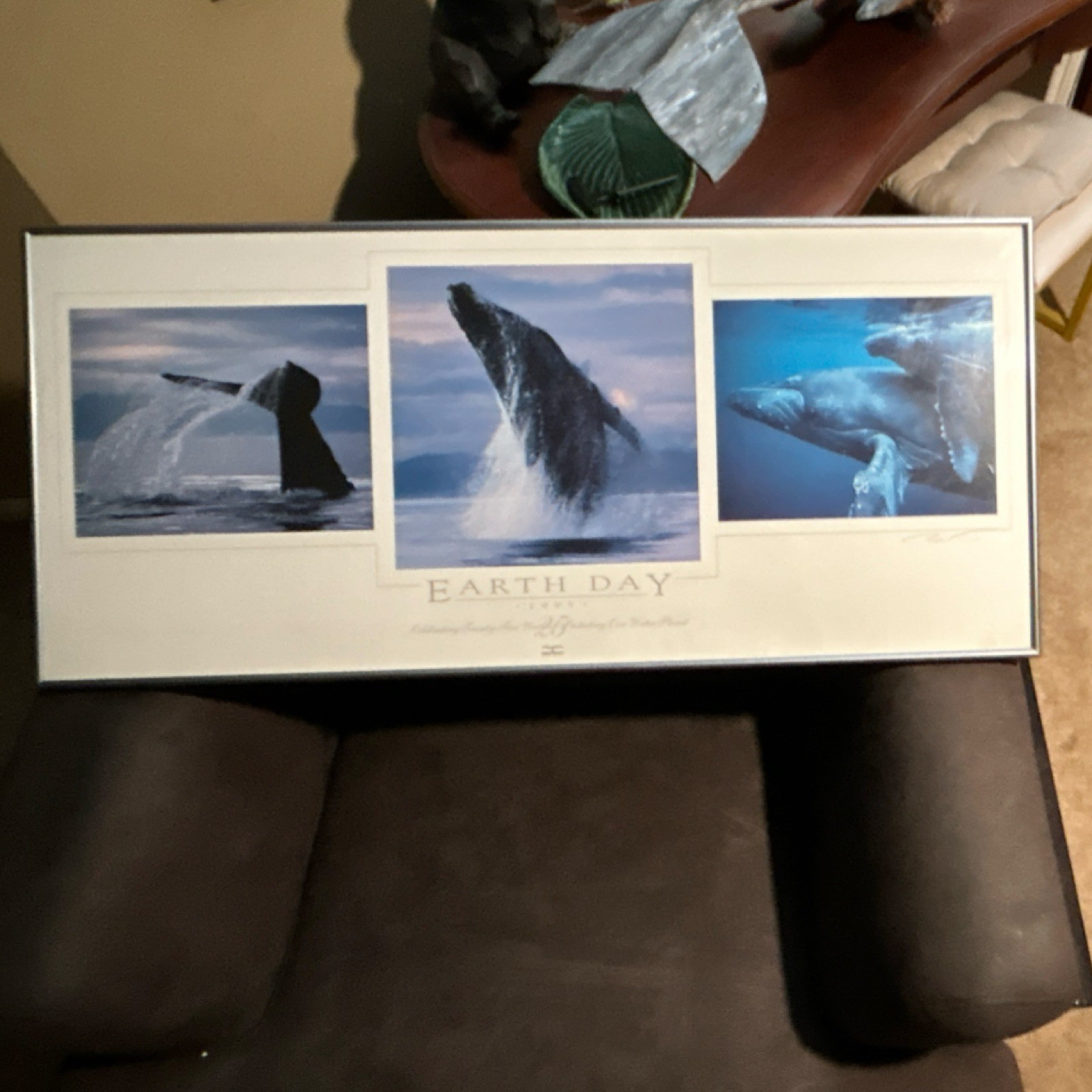 Bob Talbot Signed Limited Edition Framed Whale Photograph Earth Day 1995 17.5×39